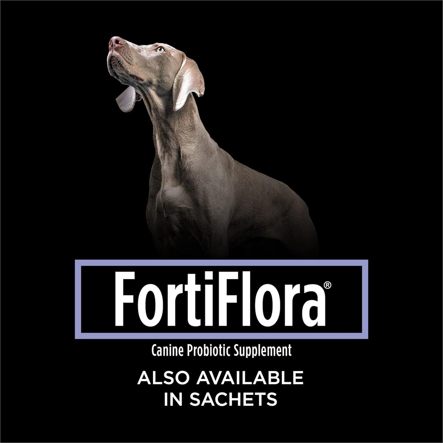 Purina Pro Plan Veterinary Diets FortiFlora Chewable Dog Probiotic Supplement - 90 Tablets