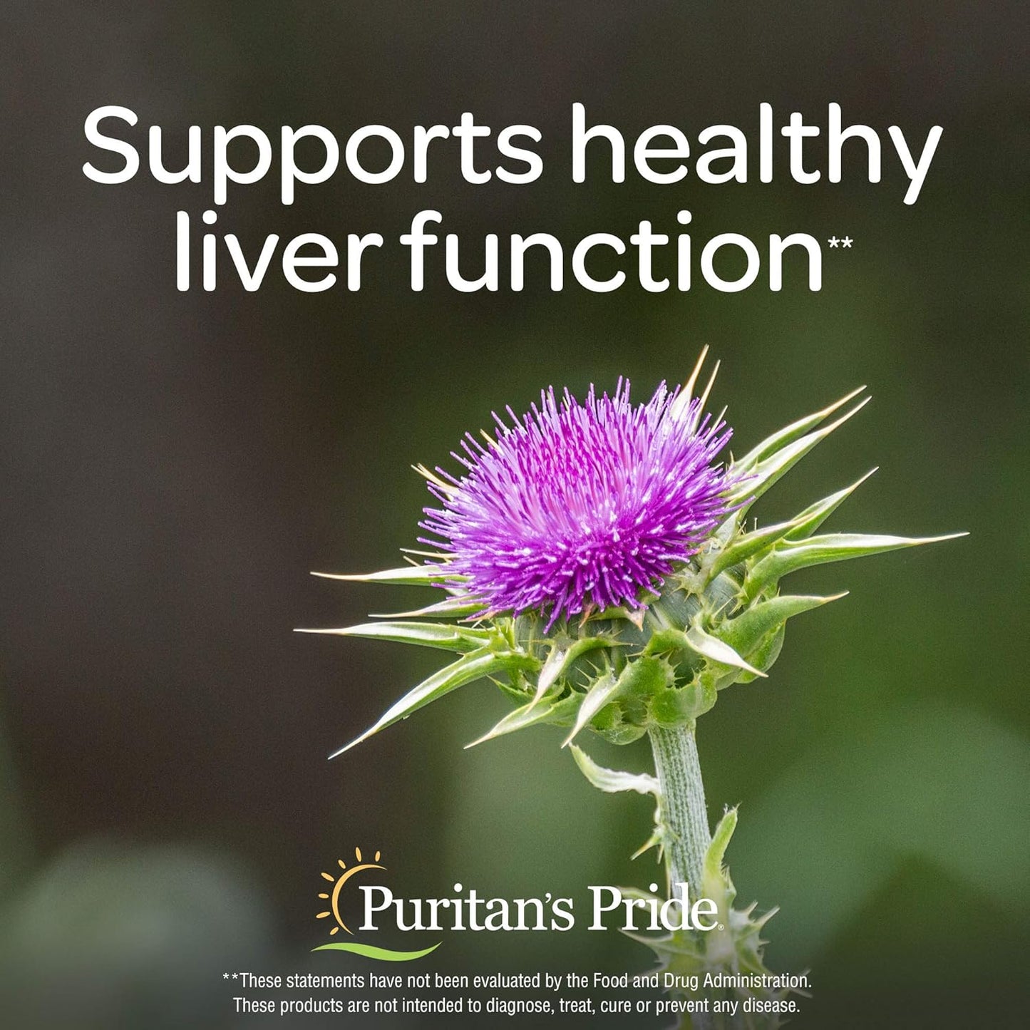 Puritan's Pride Milk Thistle and Dandelion Extract Capsules - 60 Count