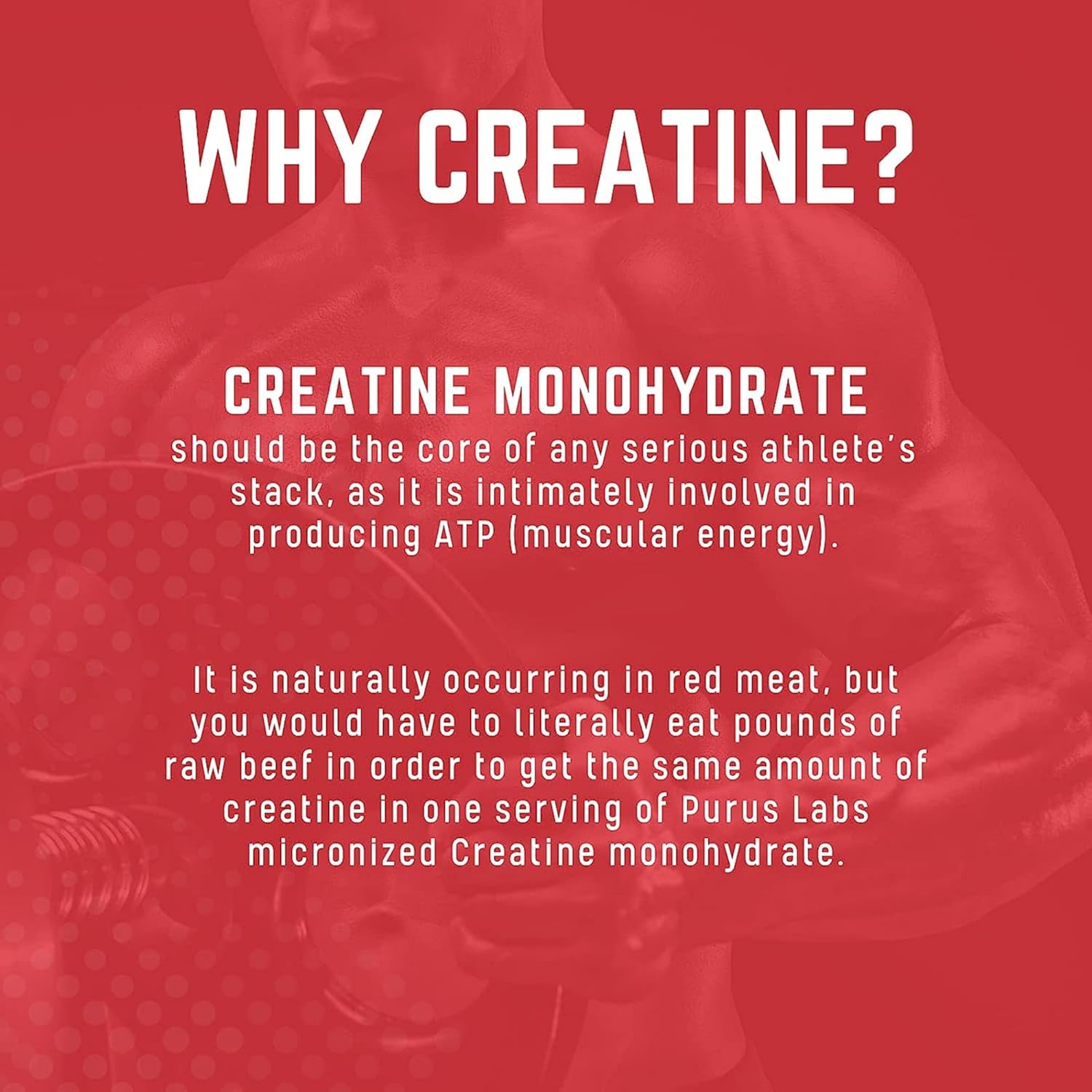 Purus Labs Foundation Series Creatine Powder - Ultra Pure Micronized for Strength, Mass, Power, Recovery - 60 Servings - Unflavored