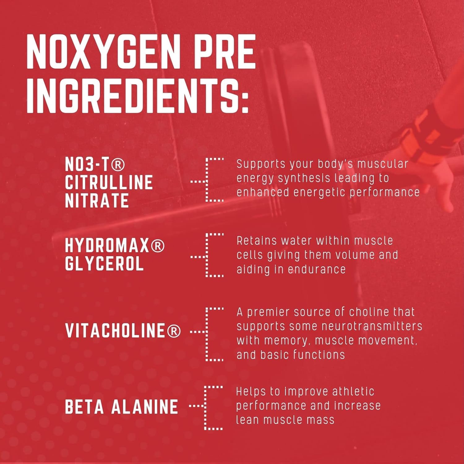 Purus Labs NOXYGEN PREWORKOUT Powder - Gummy Bear Flavor, 30 Servings