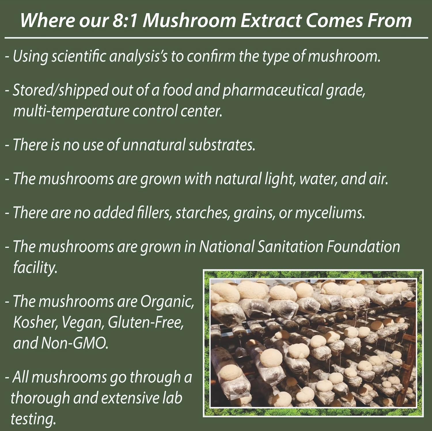 PWR Nutra Lion’s Mane Mushroom Gummies - Heart, Immunity, Brain Support - Vegan, Sugar-free, Gluten-free - 30 Servings