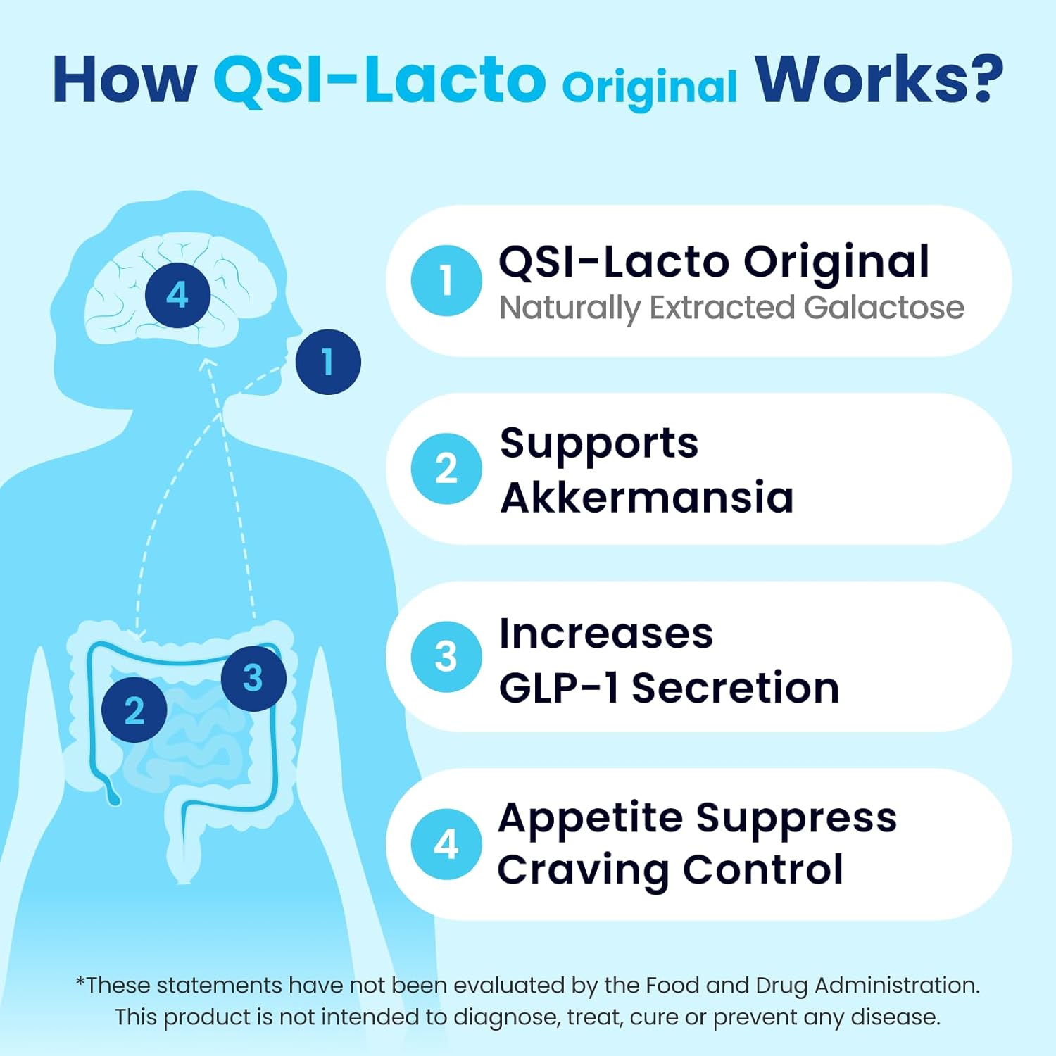 QSI-Lacto Original: 2 Packs, 180 Servings, Supports GLP-1 Elevation, Galactose for Gut Health, Prebiotic Chewables
