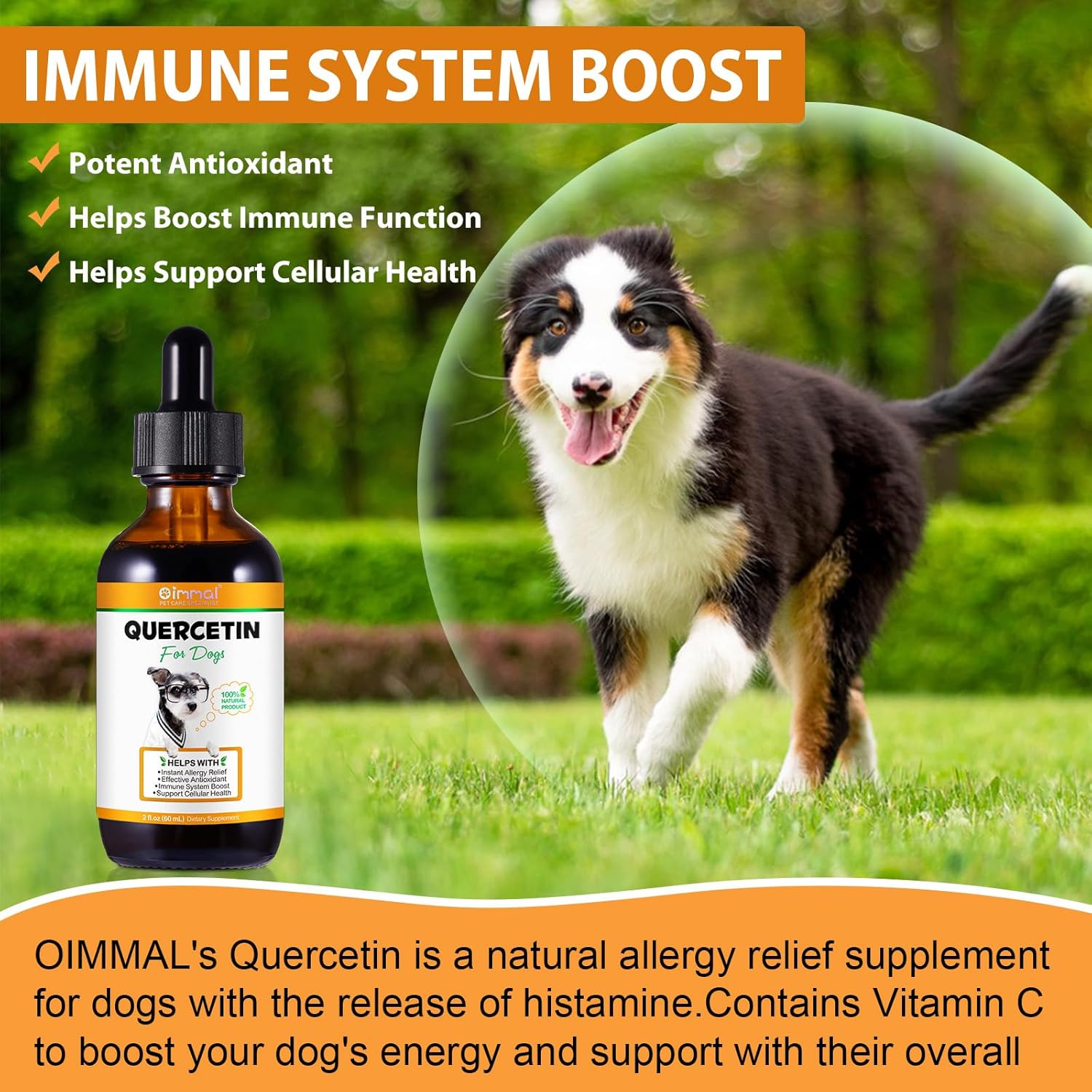 Quercetin Supplement with Vitamin C for Dogs | Allergy Relief & Immune Support for Dogs | Anti-Itch Formula for Pets