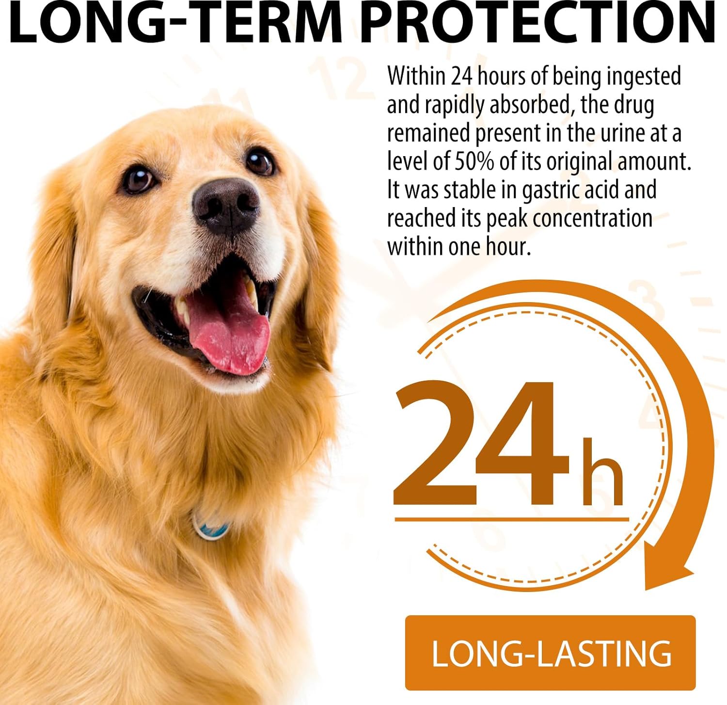 Quercetin Supplement with Vitamin C for Dogs | Allergy Relief & Immune Support for Dogs | Anti-Itch Formula for Pets