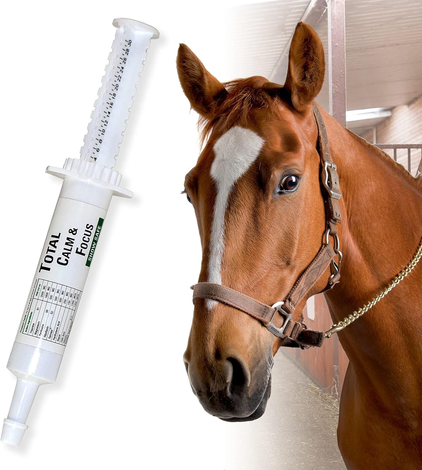 Ramard Total Calm and Focus Horse Supplement with Magnesium for Show Performance - Stress Relief and Mental Clarity Formula for Horses, 1oz Syringe