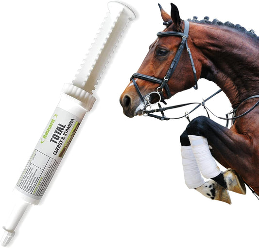 Ramard Total Energy and Stamina Support Gel with B Vitamins & Amino Acids - Boost Oxygen Capacity for Peak Performance - 15cc Syringe