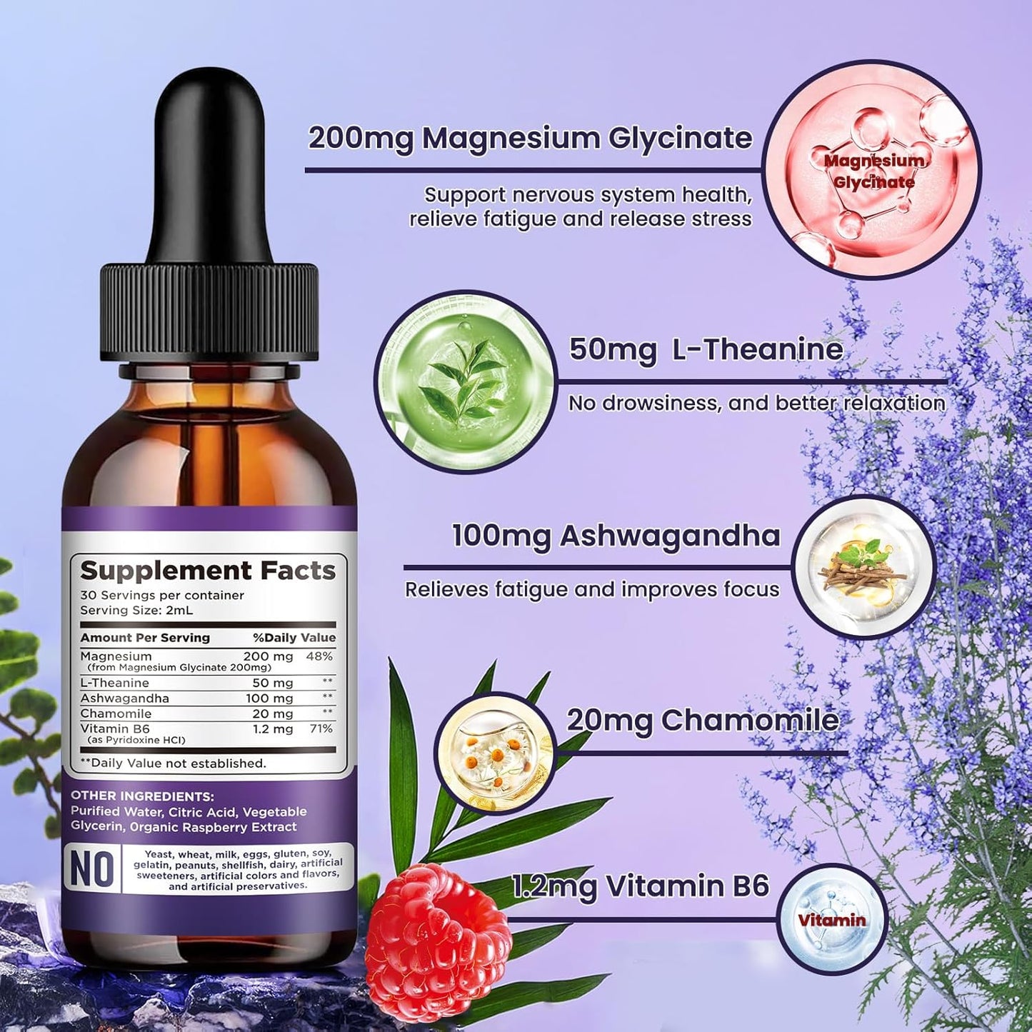 Raspberry Flavored Magnesium Glycinate Supplement with Vitamin B6 for Stress Relief and Bone Health - 2 FL.OZ Vegan Liquid Drops