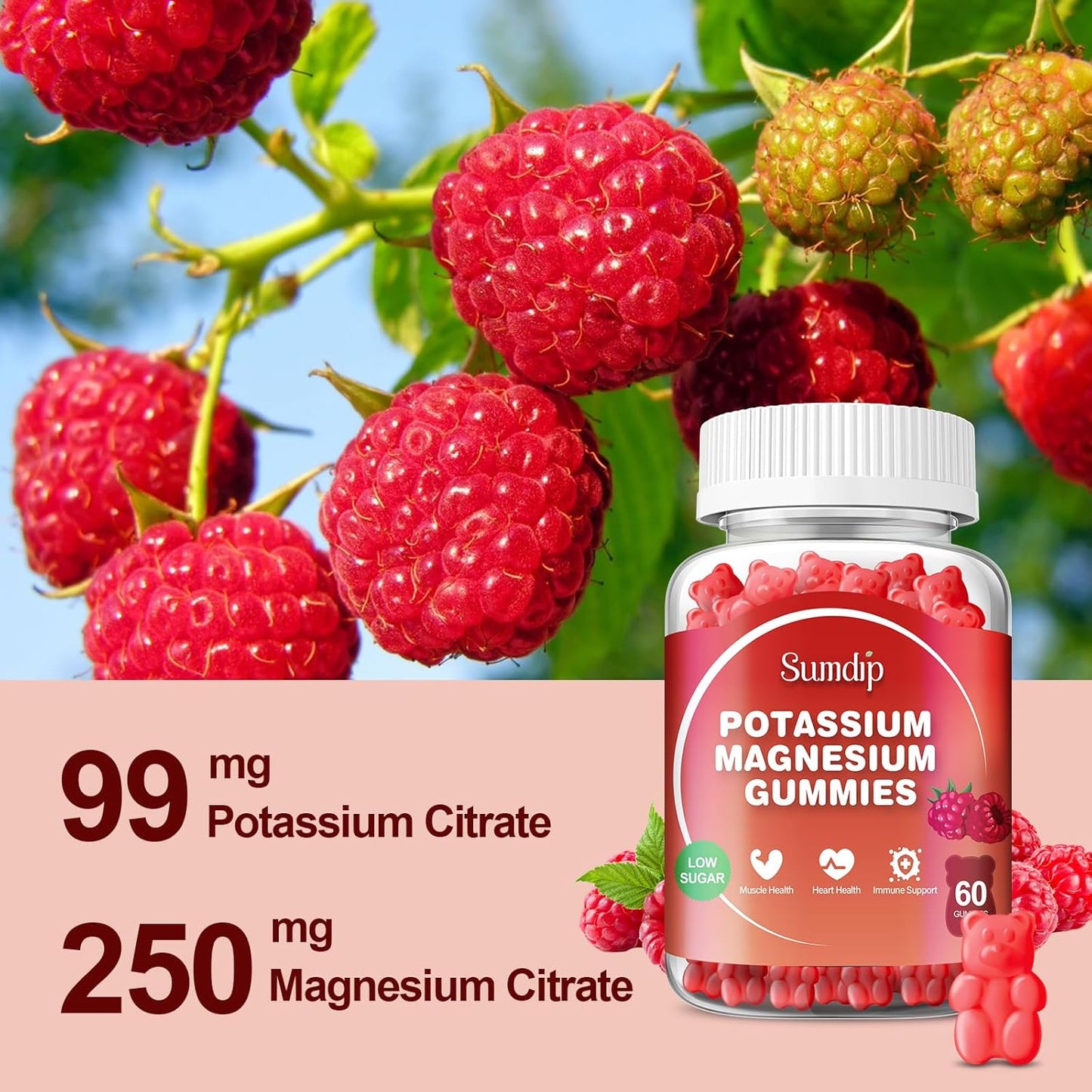 Raspberry Potassium Magnesium Gummies for Leg Cramps and Muscle Relaxation, High Absorption, 60 Gummies