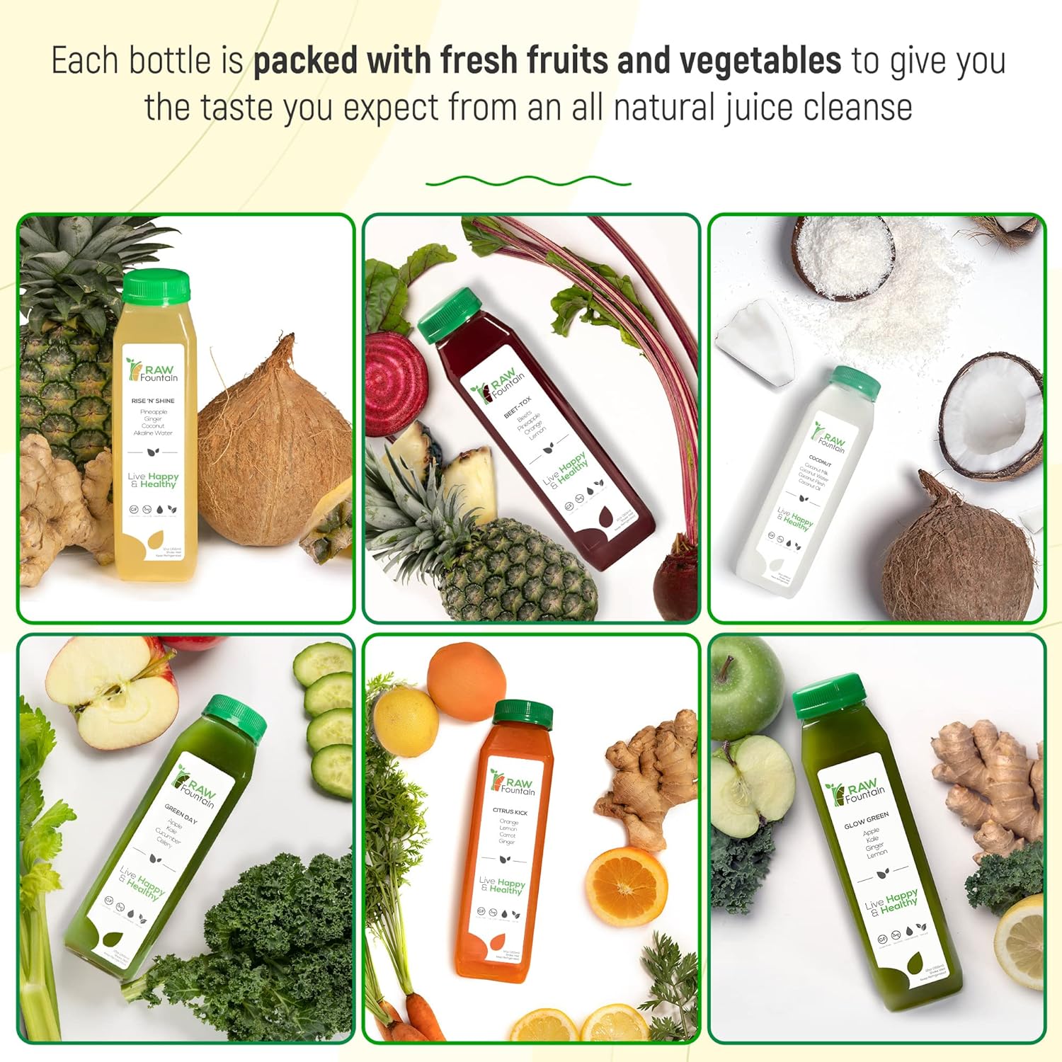 Raw Fountain 3 Day Juice Cleanse: All Natural Detox for Weight Management, Cold Pressed Fast, 18 Bottles - 12oz, Includes 3 Ginger Shots