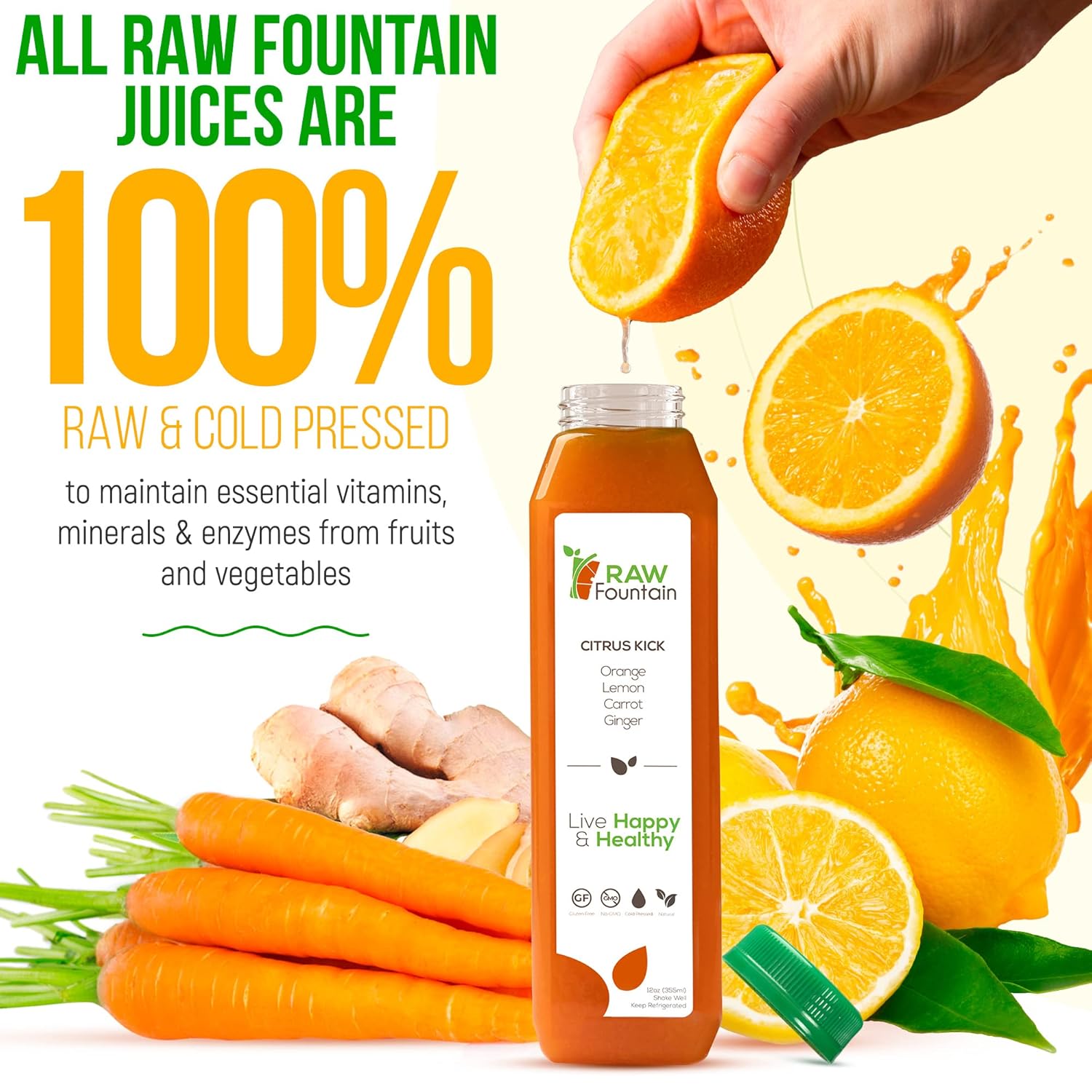 Raw Fountain 3 Day Juice Cleanse: All Natural Detox for Weight Management, Cold Pressed Fast, 18 Bottles - 12oz, Includes 3 Ginger Shots