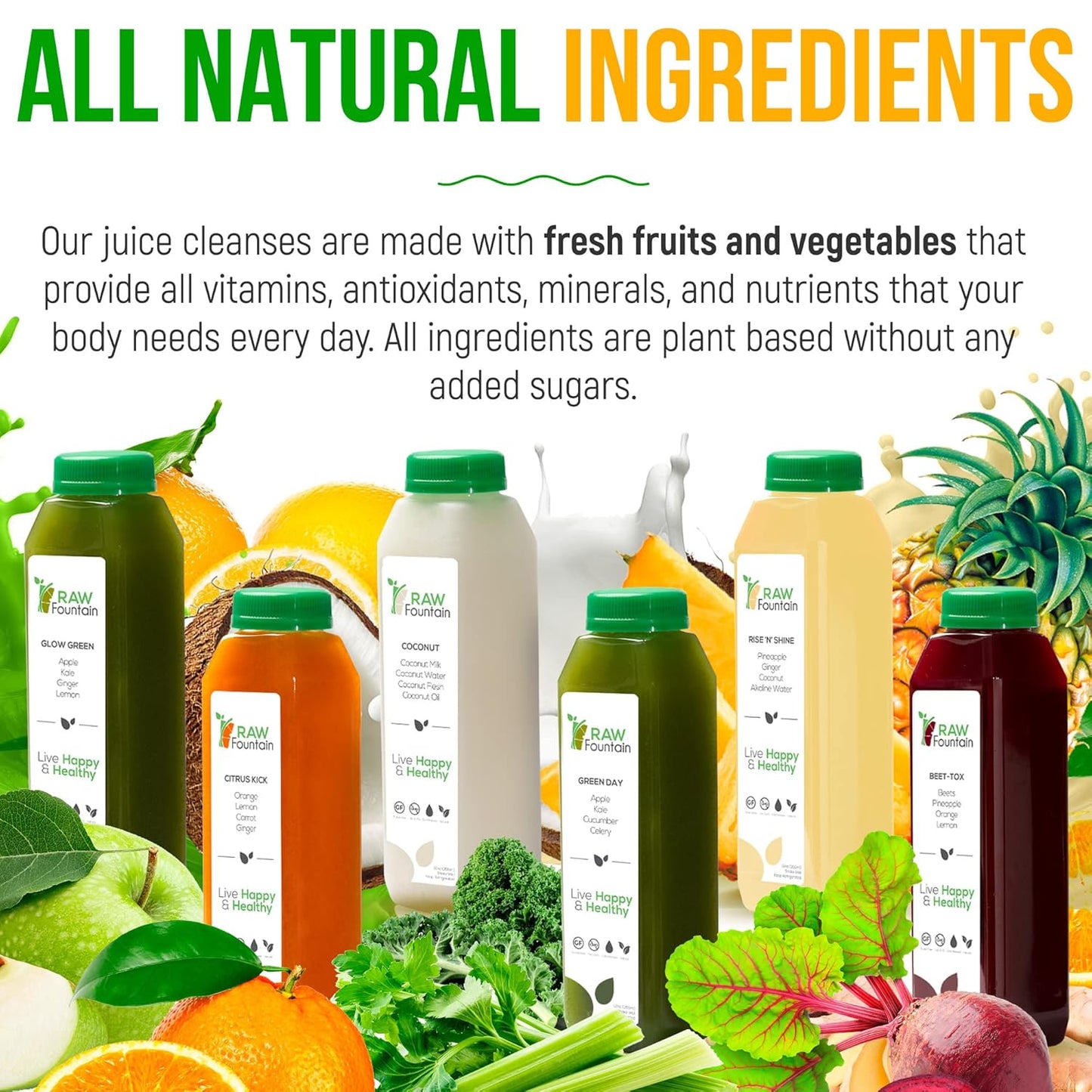 Raw Fountain 3 Day Juice Cleanse: All Natural Detox for Weight Management, Cold Pressed Fast, 18 Bottles - 12oz, Includes 3 Ginger Shots
