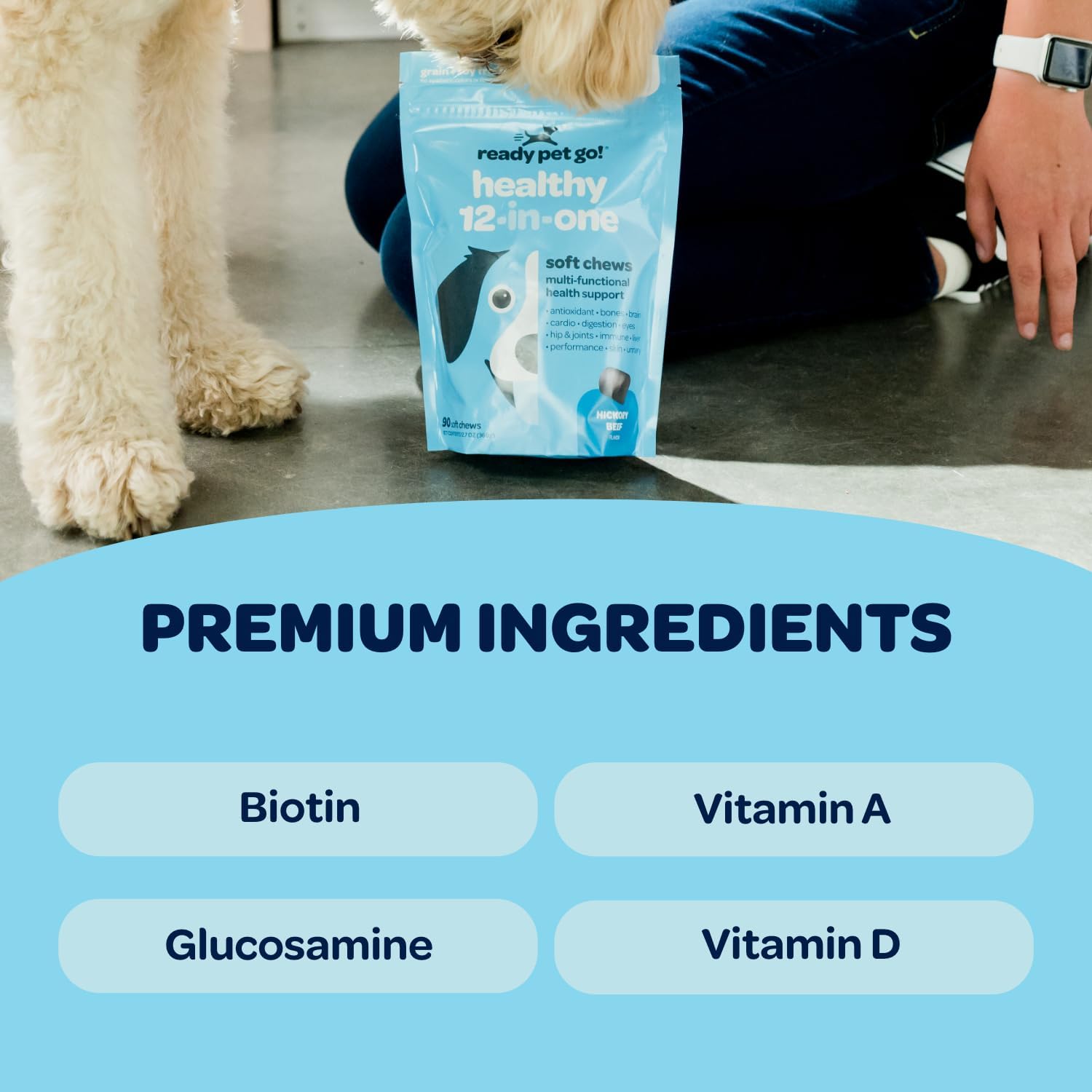 Ready Pet Go! 12-in-1 Dog Multivitamin Chewable with Glucosamine, Probiotics | NASC Certified, Made in USA | 60 Chews