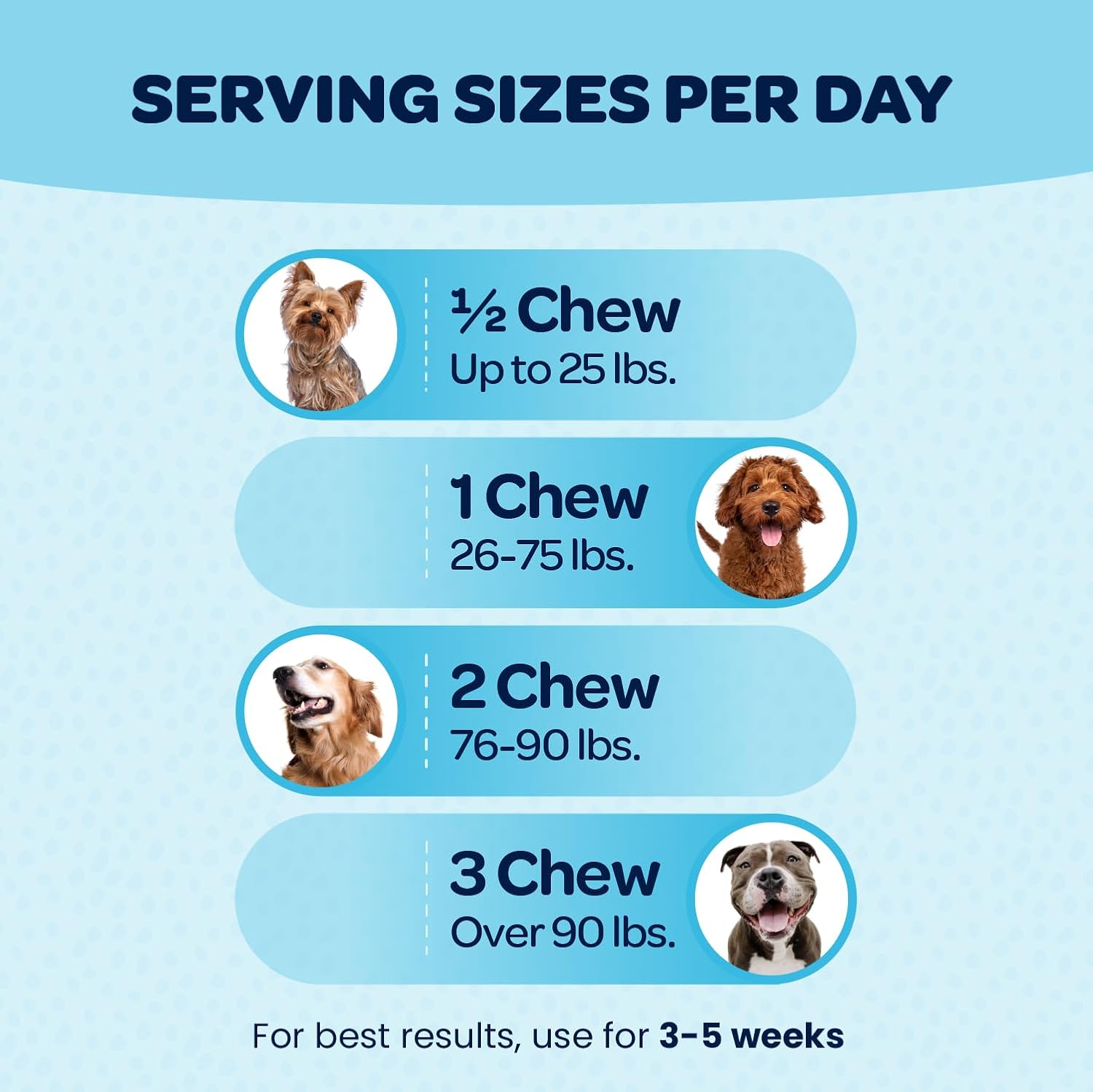 Ready Pet Go! 12-in-1 Dog Multivitamin Chewable with Glucosamine, Probiotics | NASC Certified, Made in USA | 60 Chews