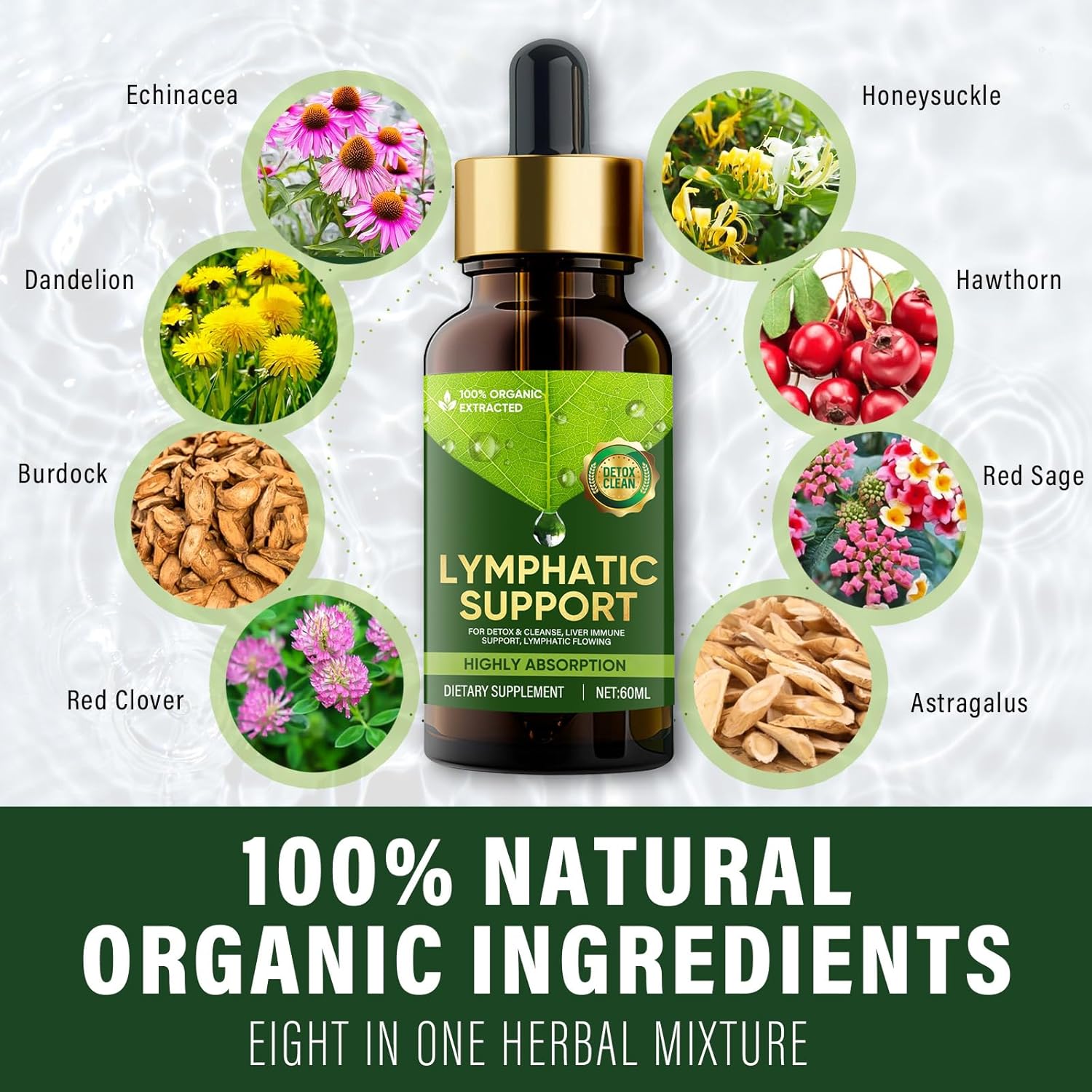 Red Clover Lymphatic Drainage Drops for Edema, Liquid Supplement to Support Lymph System, Cleanse and Boost Immune System