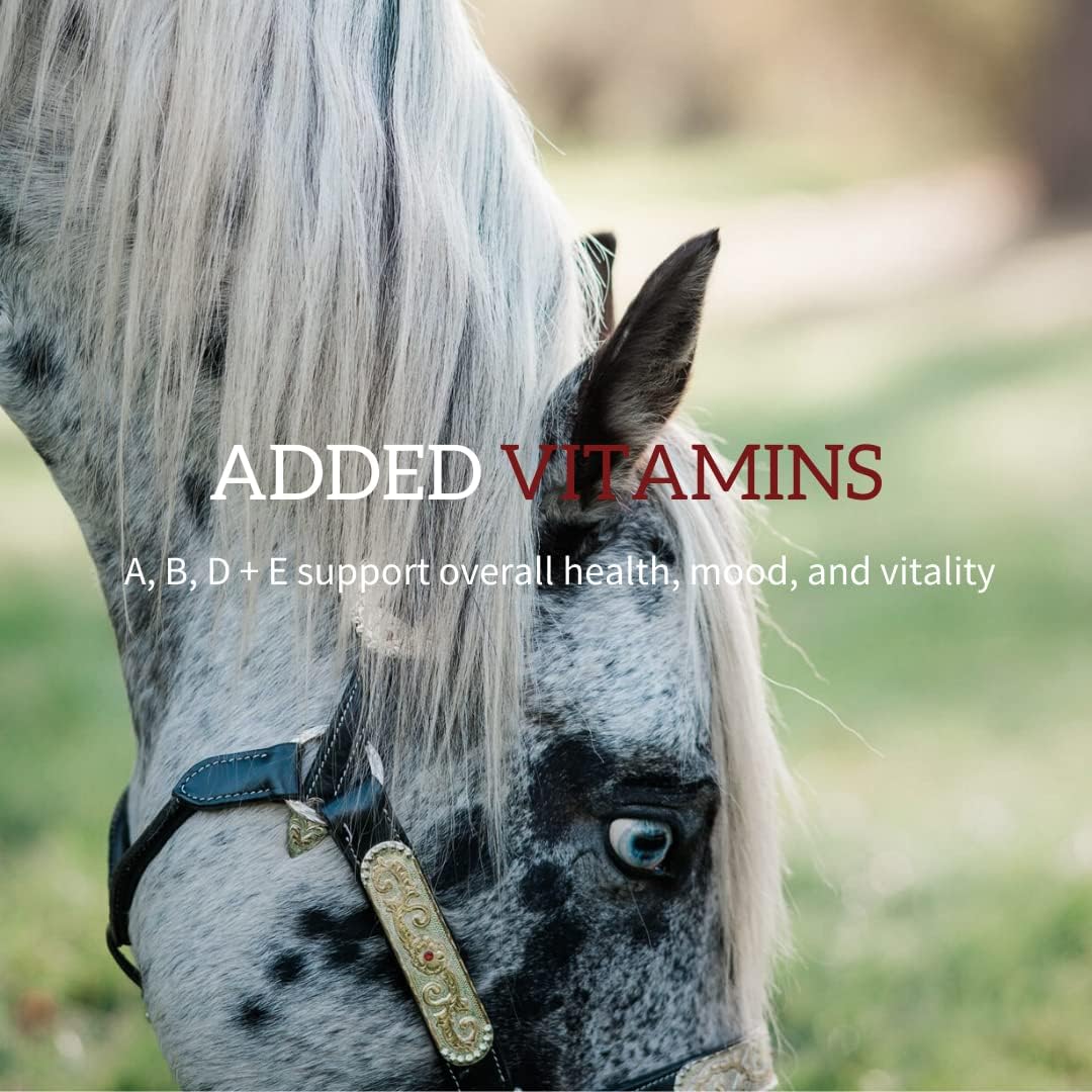 Redmond Horse Electrolyte Paste | Essential Electrolytes for Equine Health