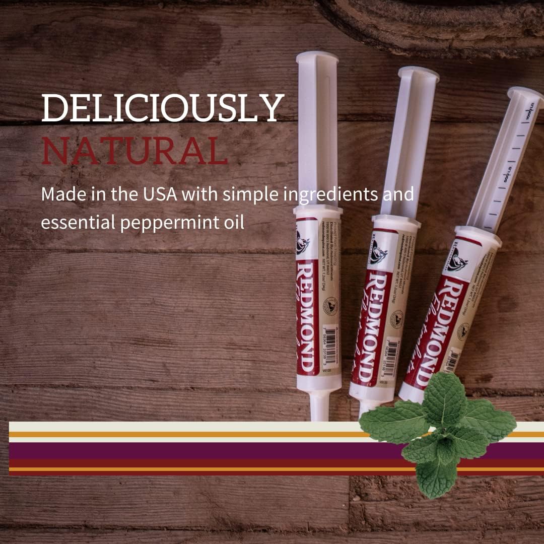 Redmond Horse Electrolyte Paste | Essential Electrolytes for Equine Health