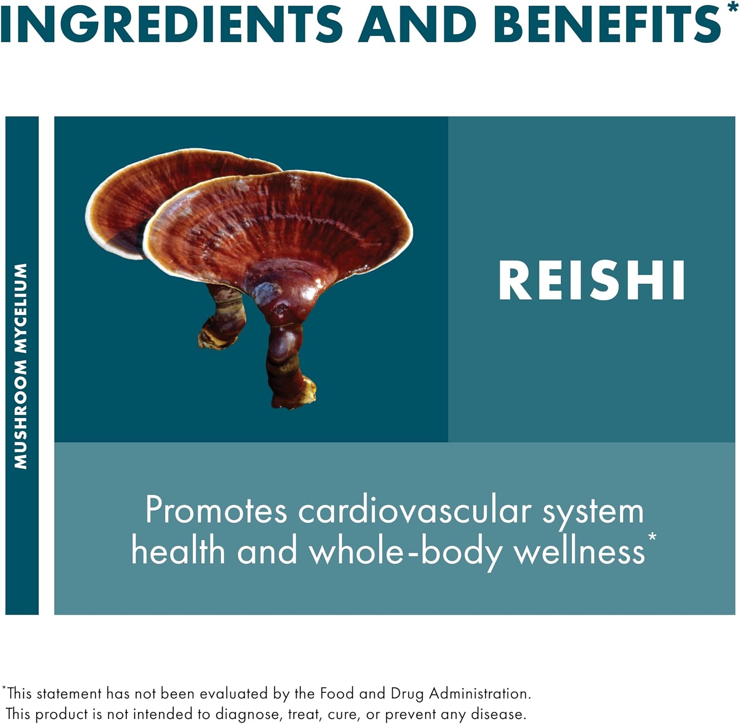 Reishi Mushroom Capsules for Heart, Immune, Energy, & Well-Being Support - 30 Capsules