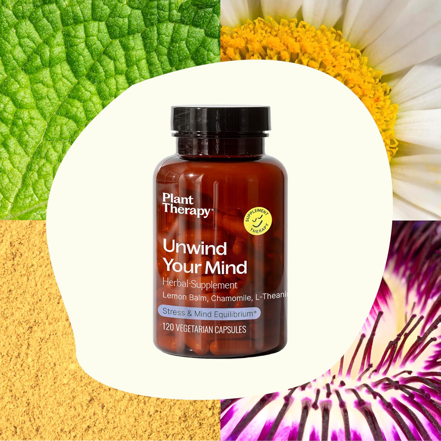 Relax Your Mind Herbal Supplement Capsules, Natural Stress Relief, Calm Busy Brain, 120 Vegetarian Capsules, USA Made