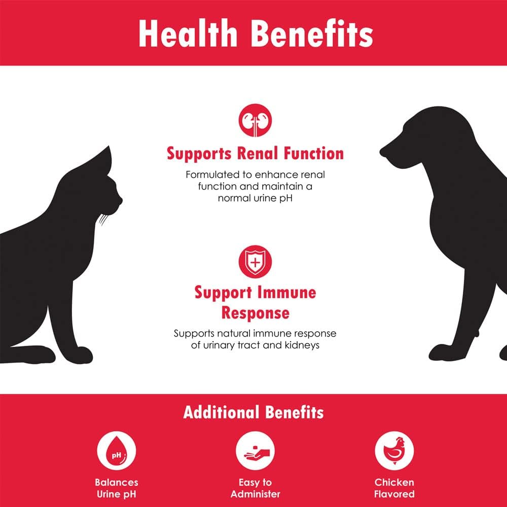 Renakitin Kidney Support Supplements for Dogs and Cats - Chicken Flavored Formula with Chitosan & Calcium Carbonate, Promotes Healthy Kidney Function, 6.3 oz