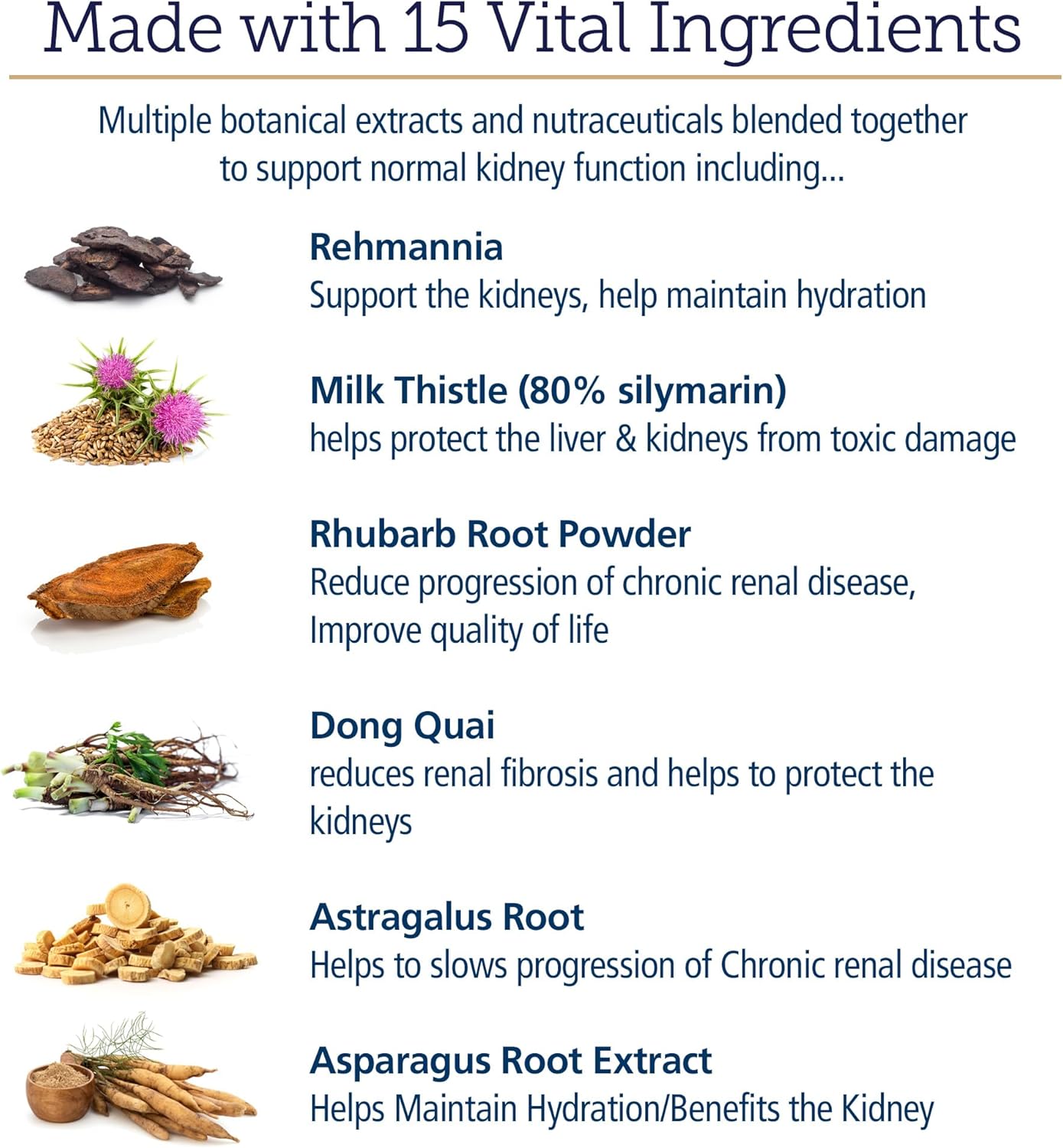 Renal Canine Kidney Support Capsules for Dogs - Milk Thistle, Green Tea, Cordyceps - Dog Kidney Supplement - 120 ct