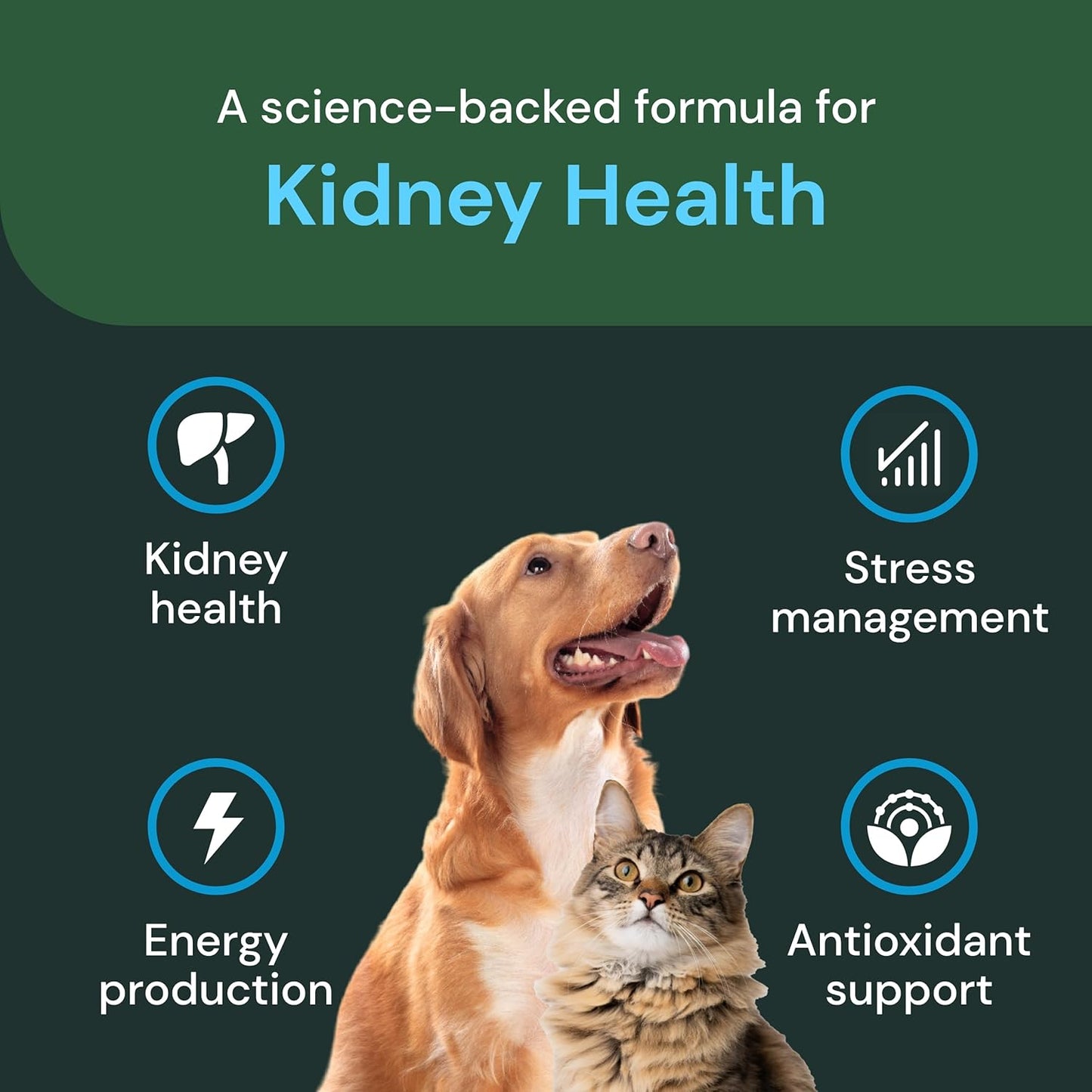 Renal Essentials Pro - Kidney Supplement for Dogs & Cats - Supports Feline & Canine Renal Health - 60 Chews