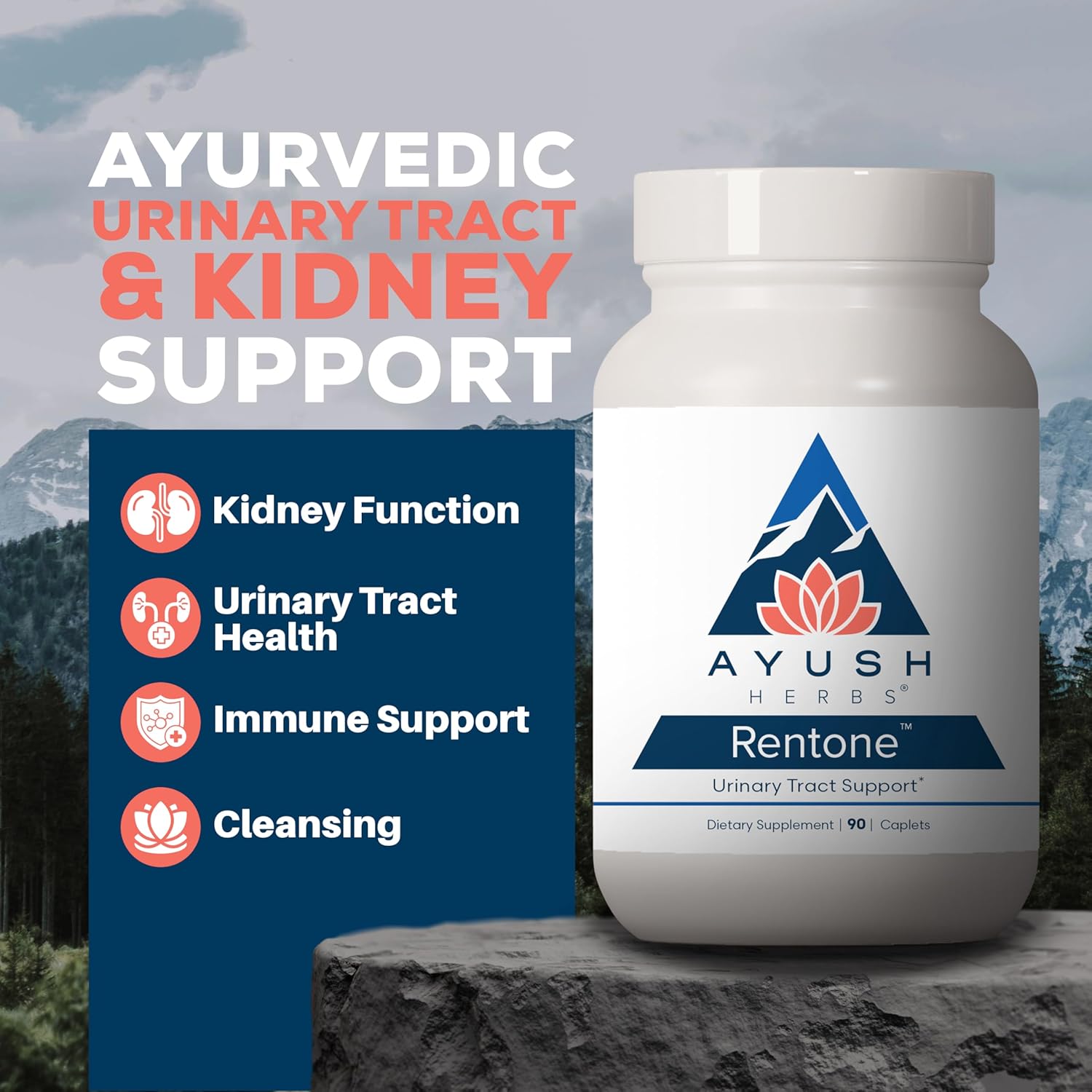 Rentone Kidney Support Supplement with Cranberry for Men & Women - 90 Vegetarian Capsules - Promotes Urinary Health & Bladder Function
