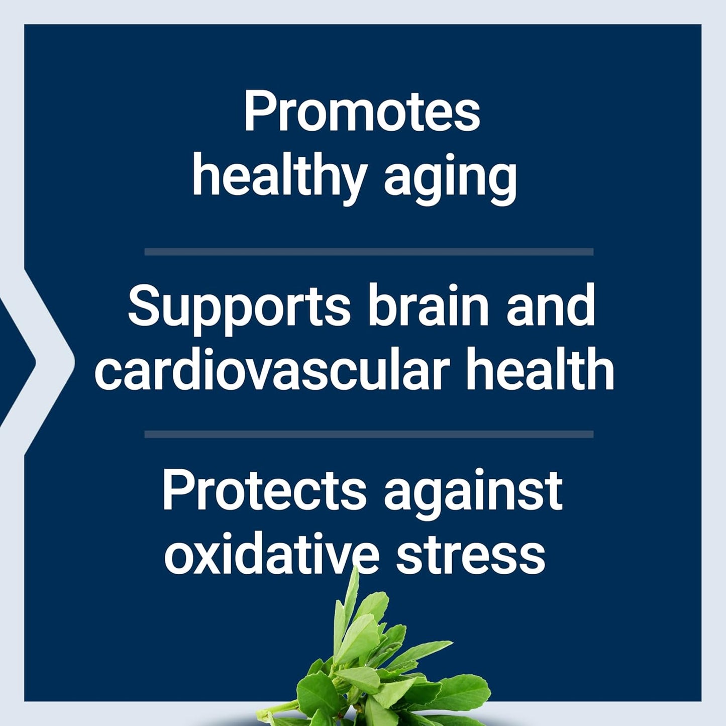 Resveratrol Elite: Supports Healthy Aging, Cardiovascular & Brain Health, Reduces Oxidative Stress, Gluten-Free, Non-GMO, Vegetarian - 30 Capsules