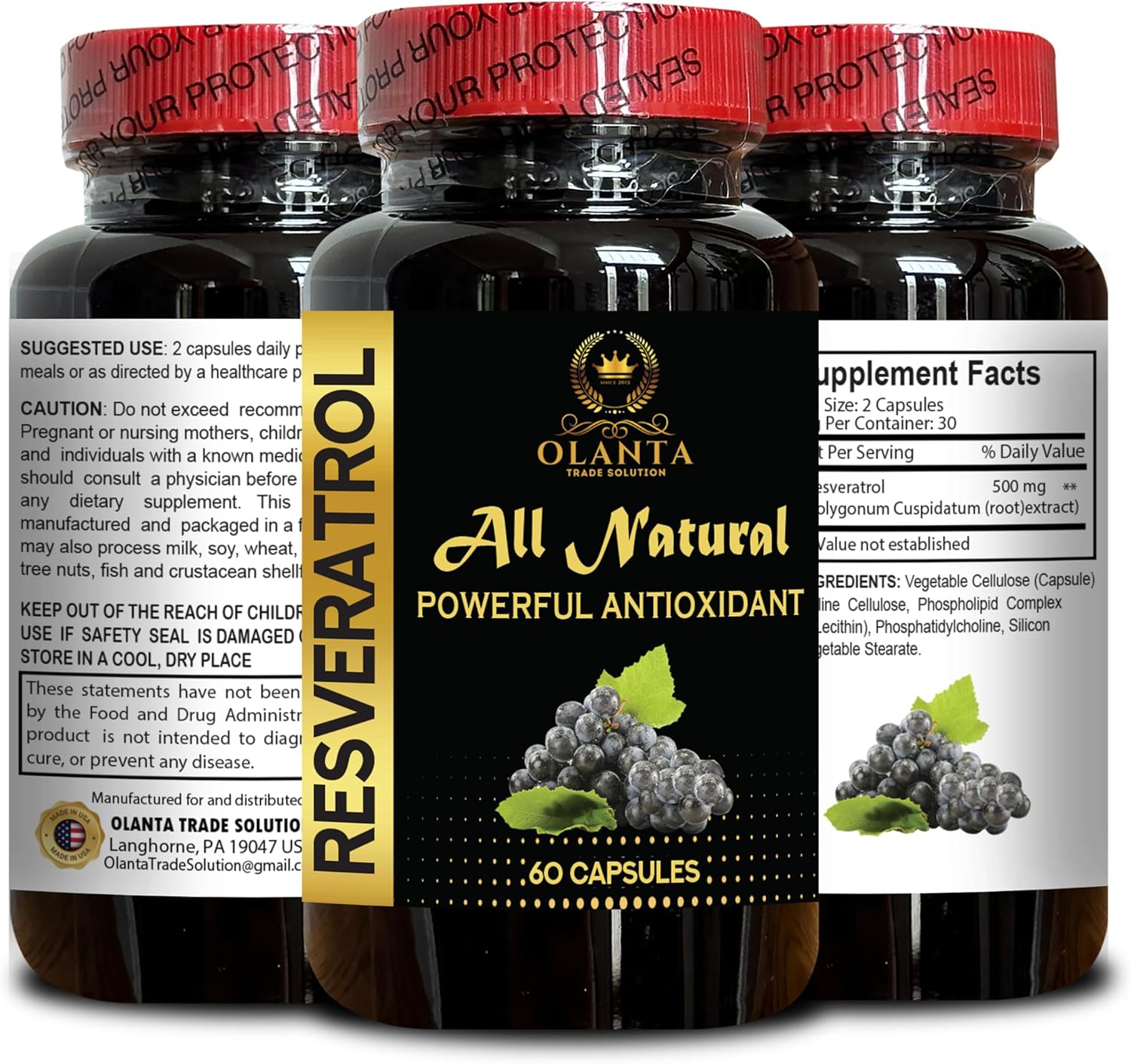 Resveratrol Extract Immune System Defense Support Supplement with Antioxidants and Boosters - 60 Capsules