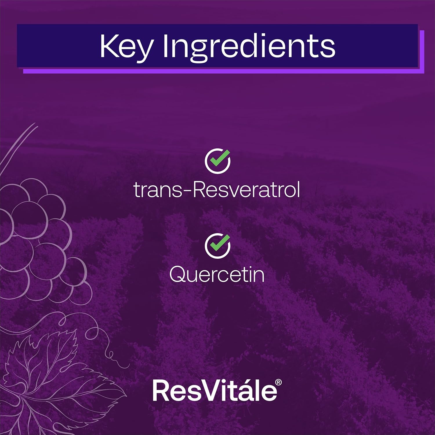 ResVitale Resveratrol 250mg Capsules - Natural Resveratrol Supplement for Men and Women - 120 Vegetarian Capsules