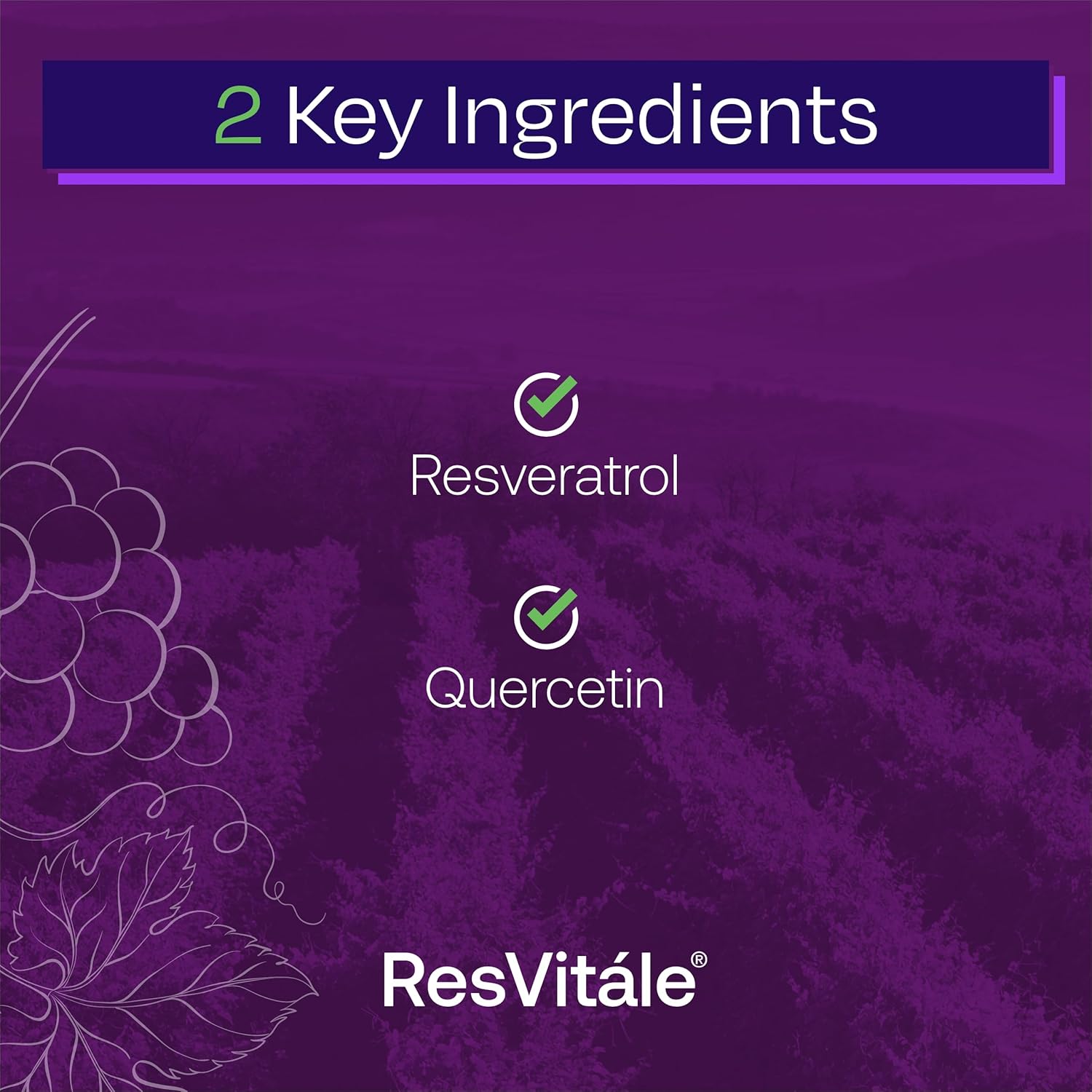 ResVitale Resveratrol 500mg Supplement for Men and Women - 30 Veggie Capsules - High Potency Resveratrol