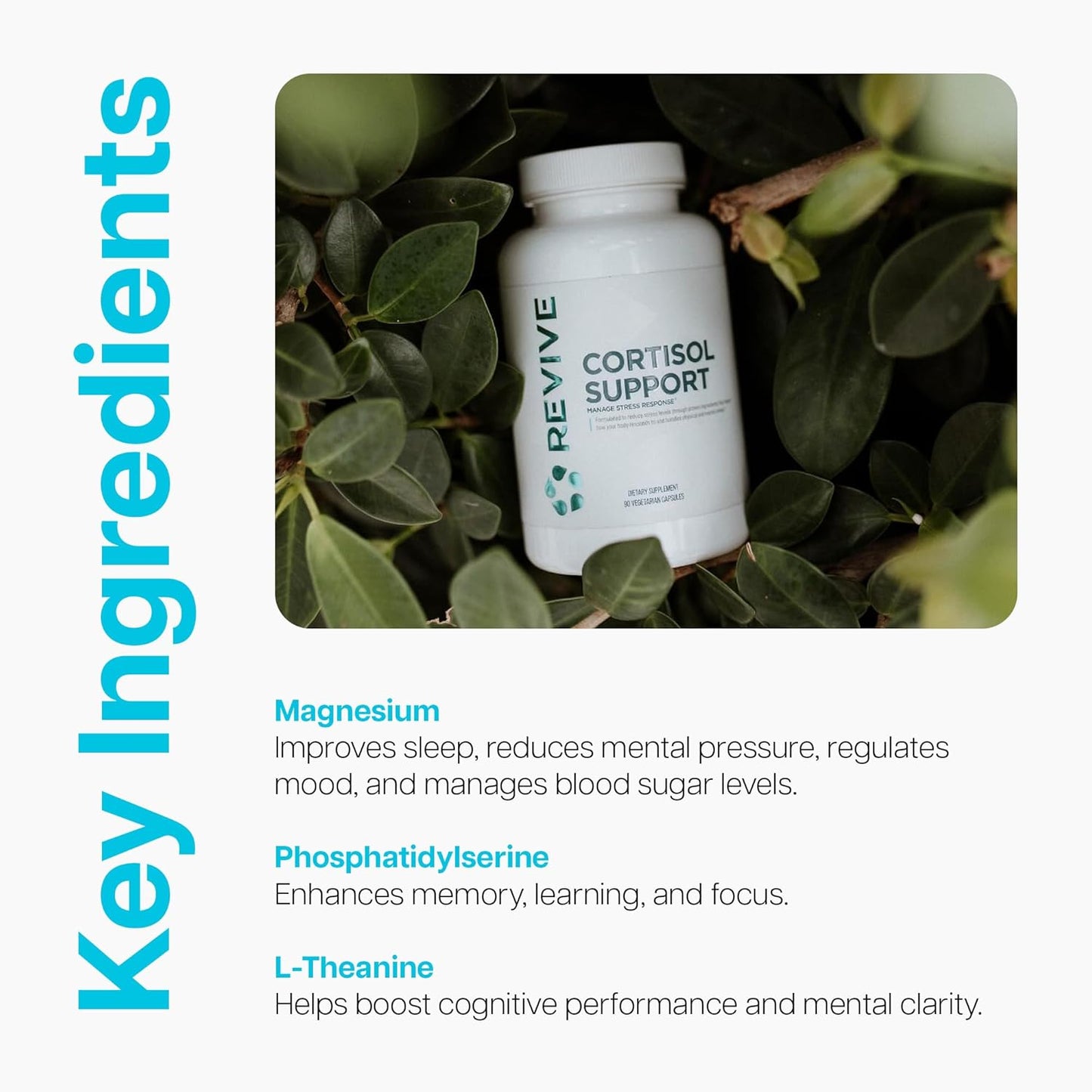 Revive MD Cortisol Manager - 90 Vegetarian Capsules with Magnesium & L-Theanine for Health & Energy - Vegan & Gluten-Free Supplement for Adrenal Gland Support