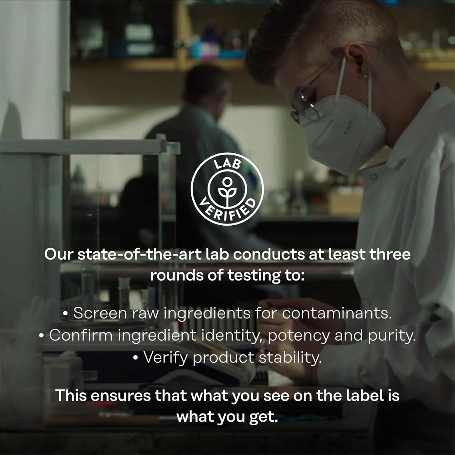 Rhodiola Rosea Schizandra Extract Vegan Supplement for Energy Support and Stress Relief - Lab Verified - 60-Day Guarantee - 60 VegCaps