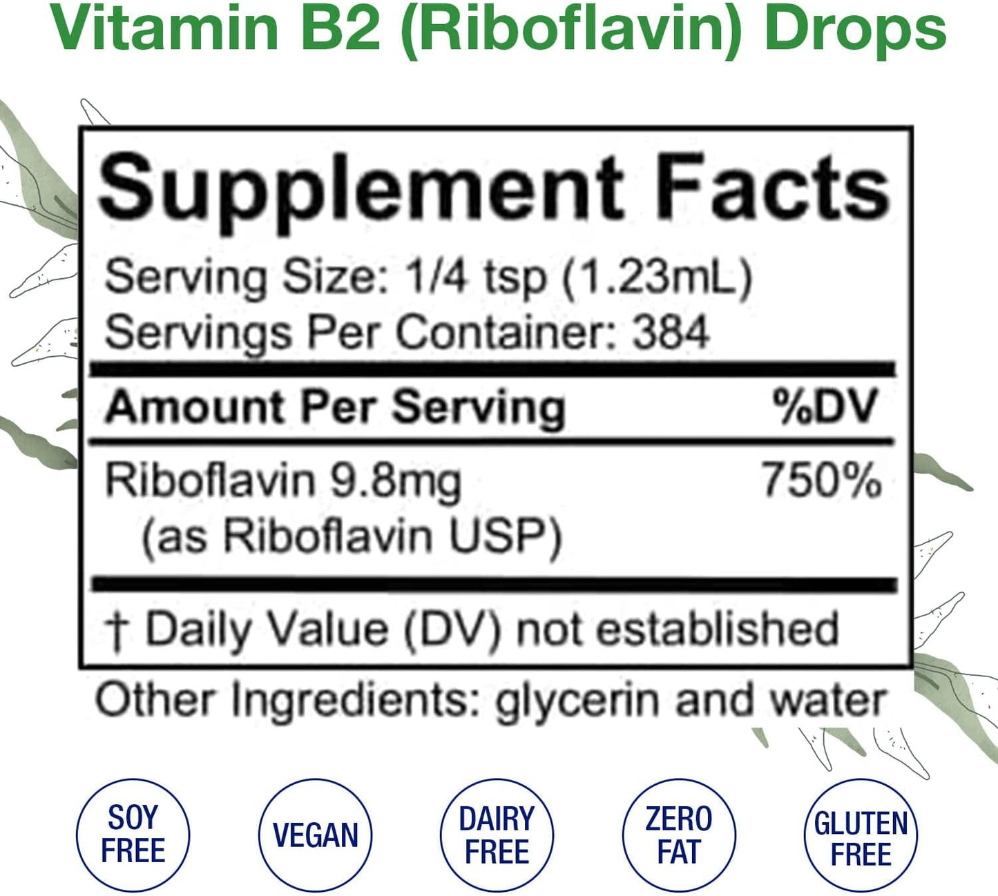Riboflavin Liquid Drops for Digestion, Blood Cells & Nervous System Support - Hair, Skin, Nails - Non-GMO, Alcohol-Free (16 Fl Oz)