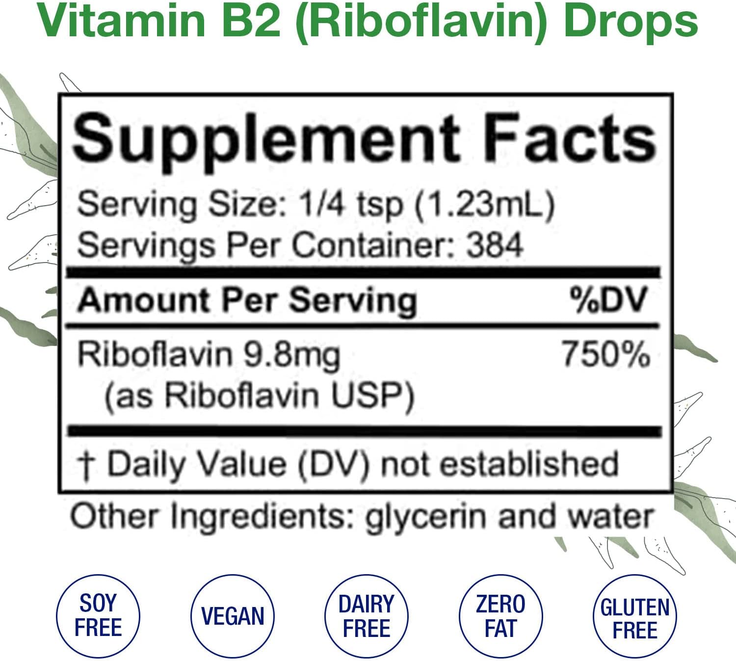 Riboflavin Liquid Drops for Digestion, Blood Cells & Nervous System Support - Hair, Skin, Nails - Non-GMO, Alcohol-Free (16 Fl Oz)