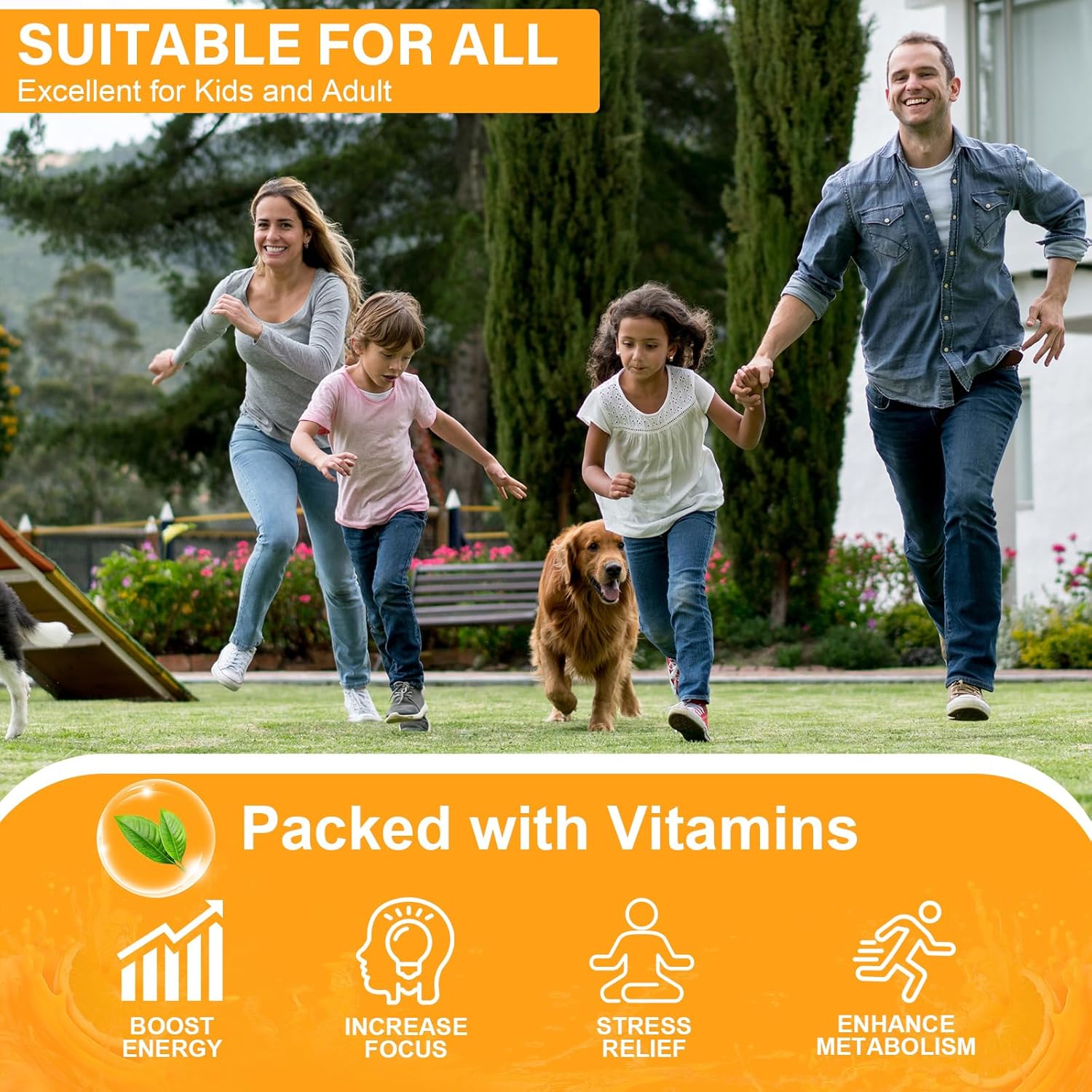 Ripkegn Vitamin B2 Gummies with Magnesium and CoQ10 - Pineapple Flavored Chewable Supplement for Energy and Nervous System Support - 90 Count