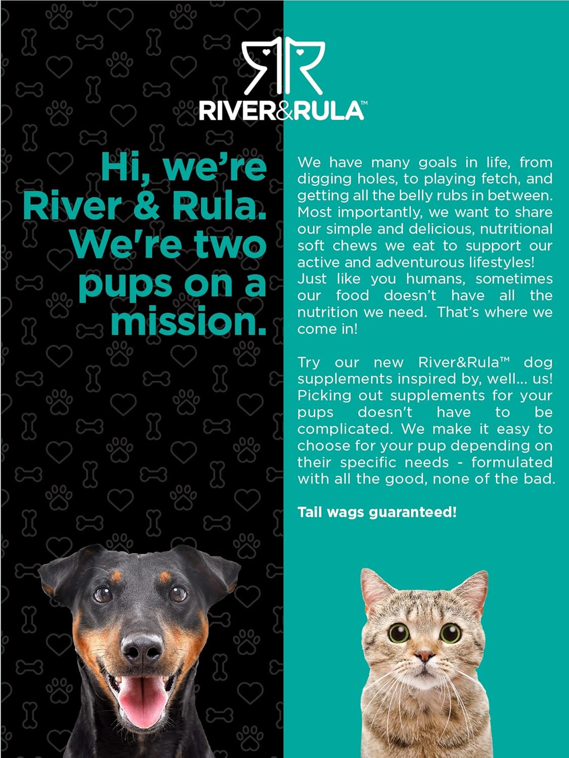 River & RULA Savory Beef Flavored Probiotics for Dogs & Cats | 120 Chewable Tablets | Digestive Aid with 14 Probiotic Strains