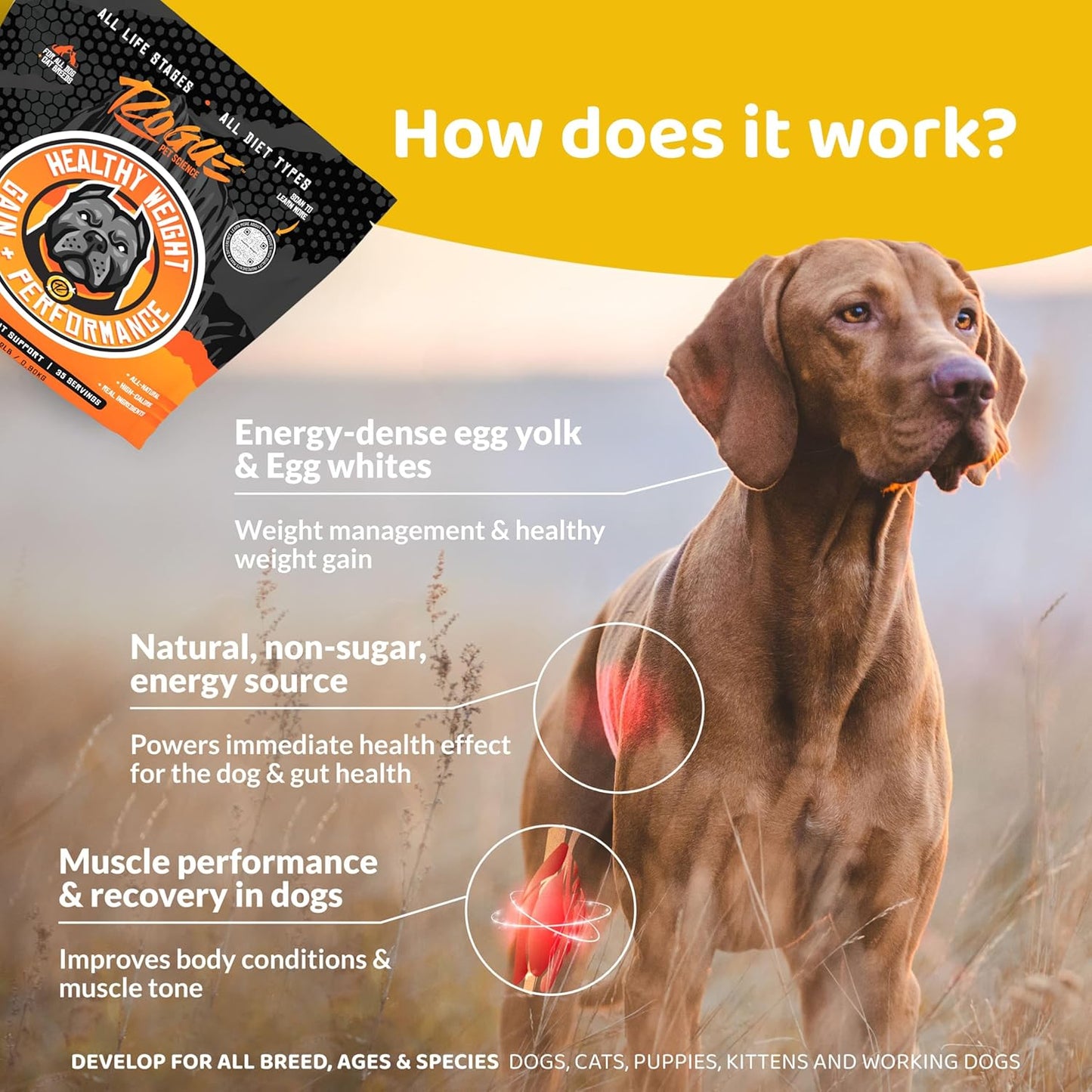Rogue Pet Science Healthy Weight - Natural High Calorie Dog & Cat Food Topper - Supports Weight Gain, Gut Health & Digestion - Boosts Energy - 2 lbs