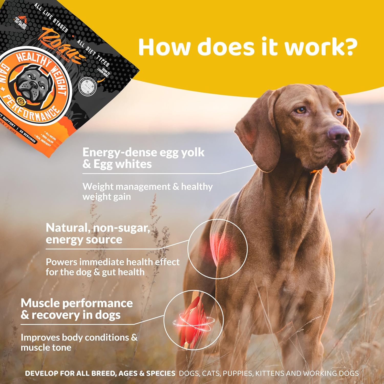 Rogue Pet Science Healthy Weight - Natural High Calorie Dog & Cat Food Topper - Supports Weight Gain, Gut Health & Digestion - Boosts Energy - 2 lbs