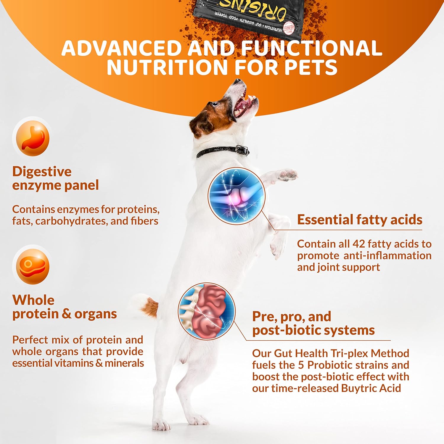 Rogue Pet Science Origins 5-in-1 Dog Supplement with Omega 3 Fish Oil for Healthy Digestion, Skin, Coat, Itching & Joints (5 lbs)