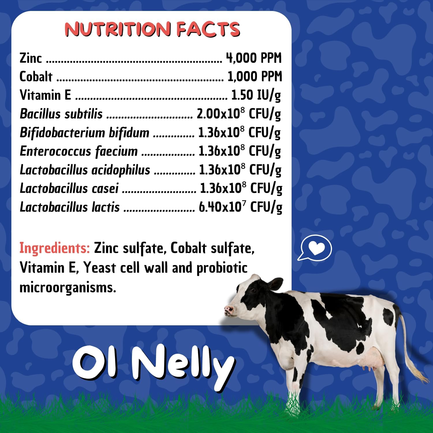 Ruminant Pre and Probiotic Paste with Vitamins and Minerals - Supports Immune and Gastro Health - 6 Strains, 8 Billion CFU - For Bovines, Goats - 80g