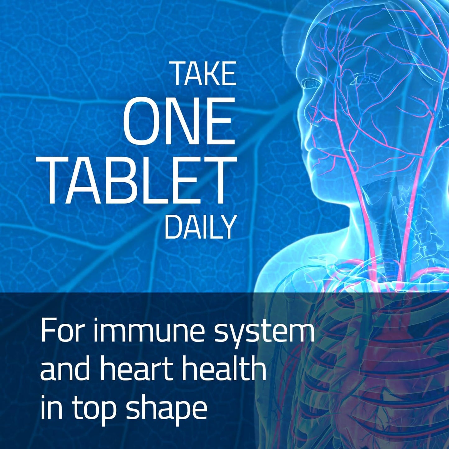 RUTASCORBIN Rutin Supplement with Vitamin C Complex - Supports Immune System, Antioxidant Benefits, and Vascular Health - 50 Tablets