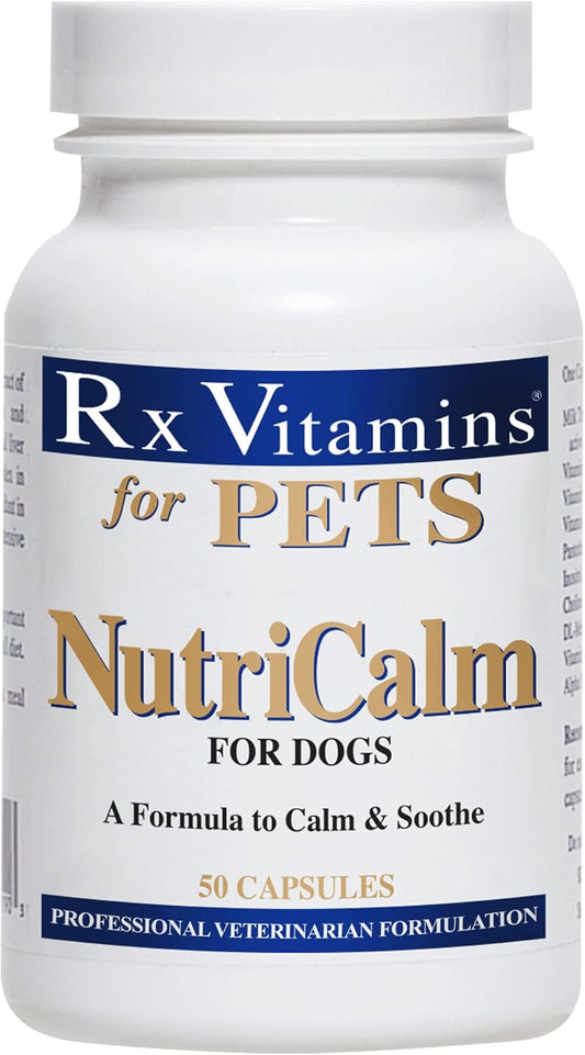Rx Vitamins NutriCalm Dog Anxiety Relief Supplement - Calming Aid for Dog Separation Anxiety, Vet Visits, Thunderstorms, and Travel - 50 ct