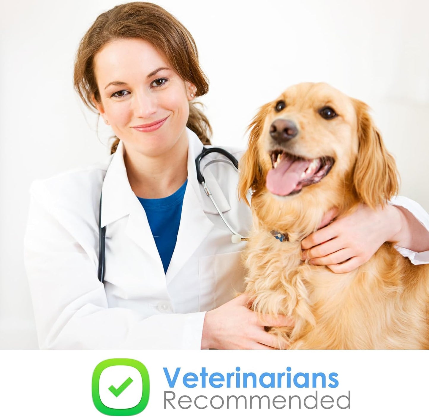 S-Adenosyl-L-Methionine Liver & Brain Support for Pets - Cognitive & Liver Supplement for Dogs and Cats - NUTRIARISE Pet Wellbeing Formula