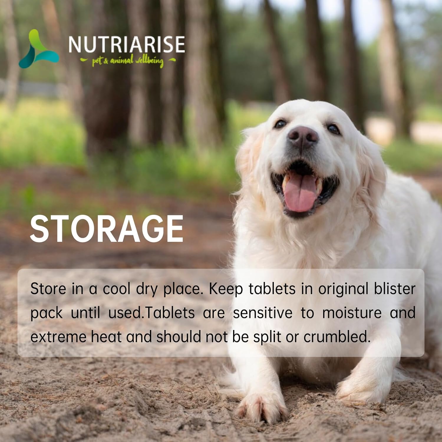 S-Adenosyl-L-Methionine Liver & Brain Support for Pets - Cognitive & Liver Supplement for Dogs and Cats - NUTRIARISE Pet Wellbeing Formula