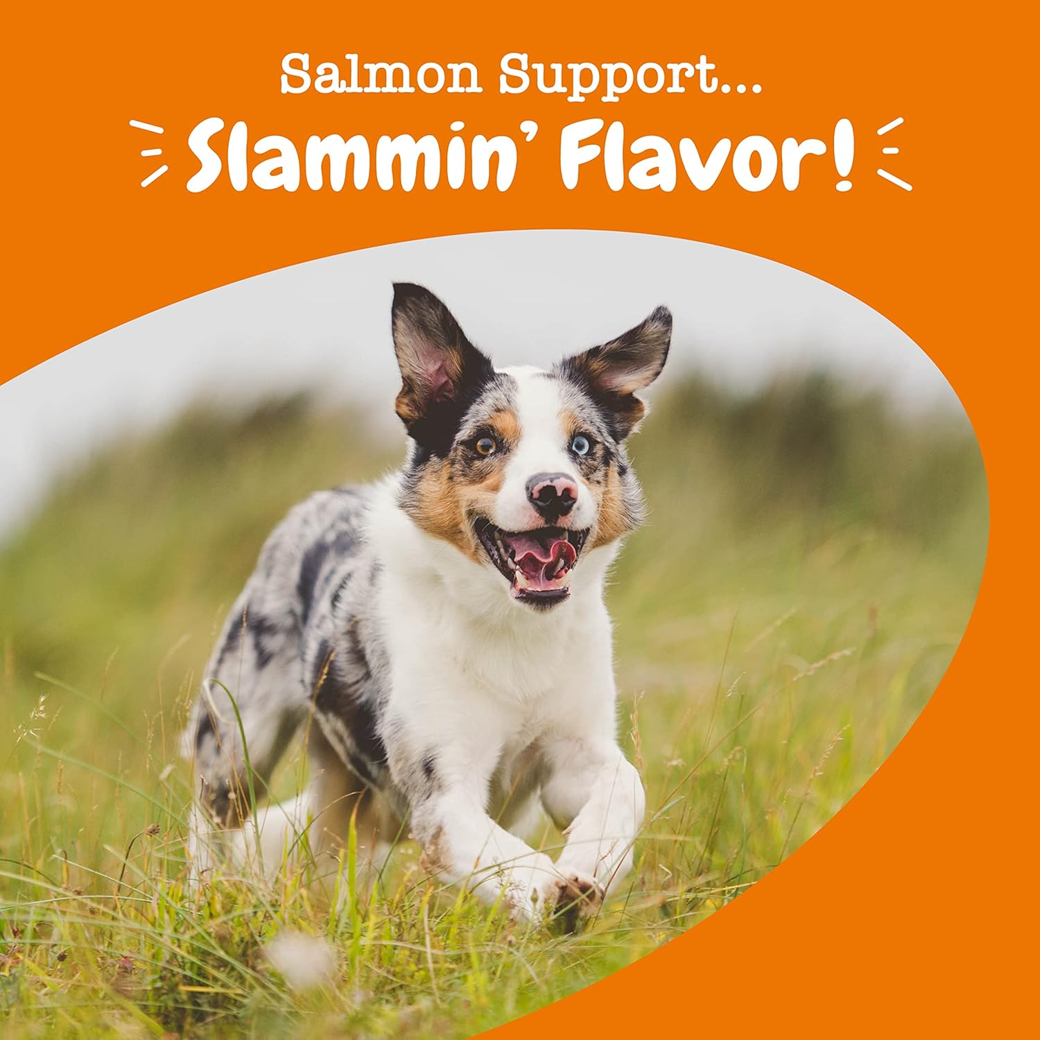 Salmon Oil Chews for Dogs, Omega 3 Skin and Coat Supplement, Allergy Relief, Itch Relief, 90 Count