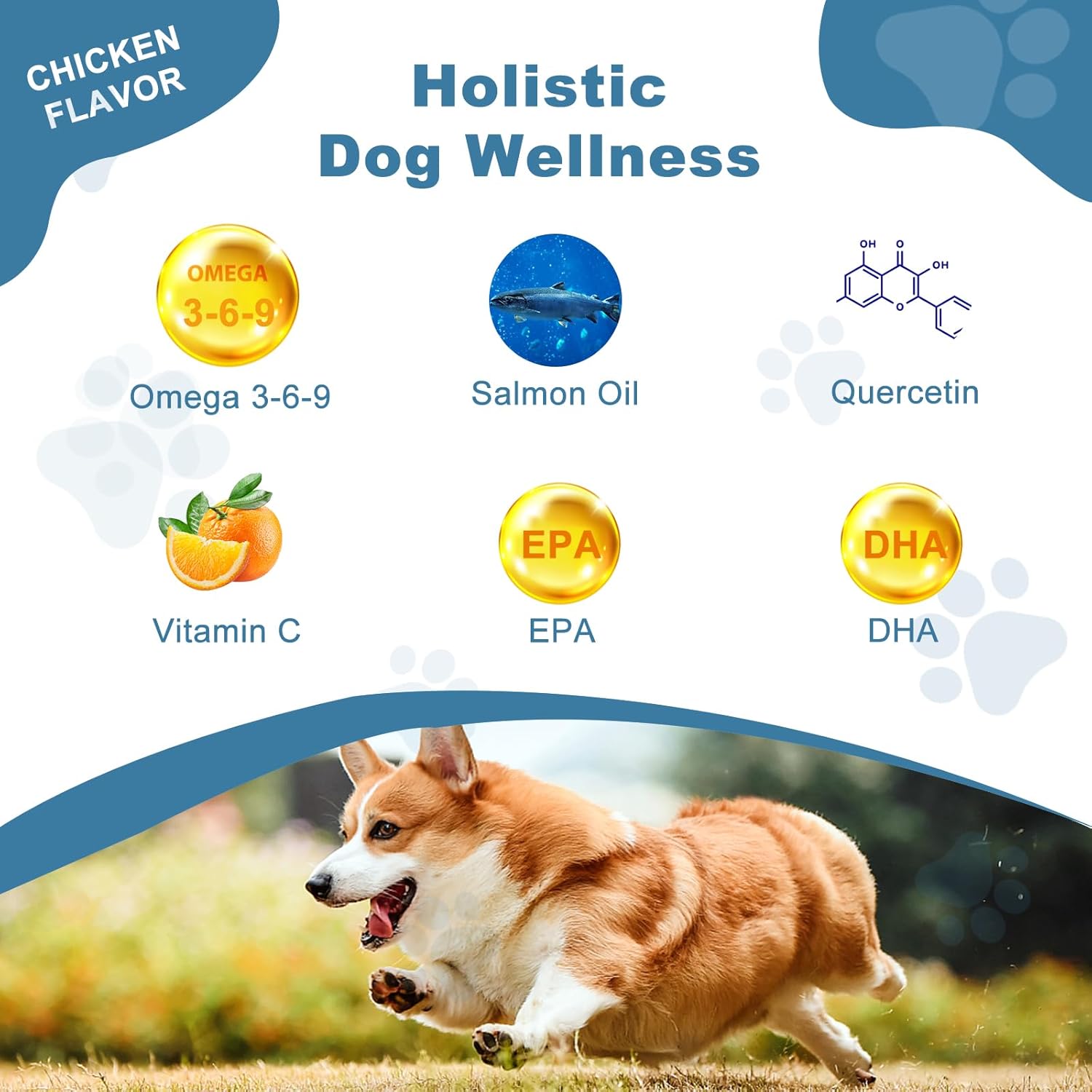 Salmon Oil Skin and Coat Supplement for Dogs - Omega 3 Fish Oil for Dog Allergy Relief, Itchy Skin, Shedding, Shiny Coats - EPA & DHA Formula