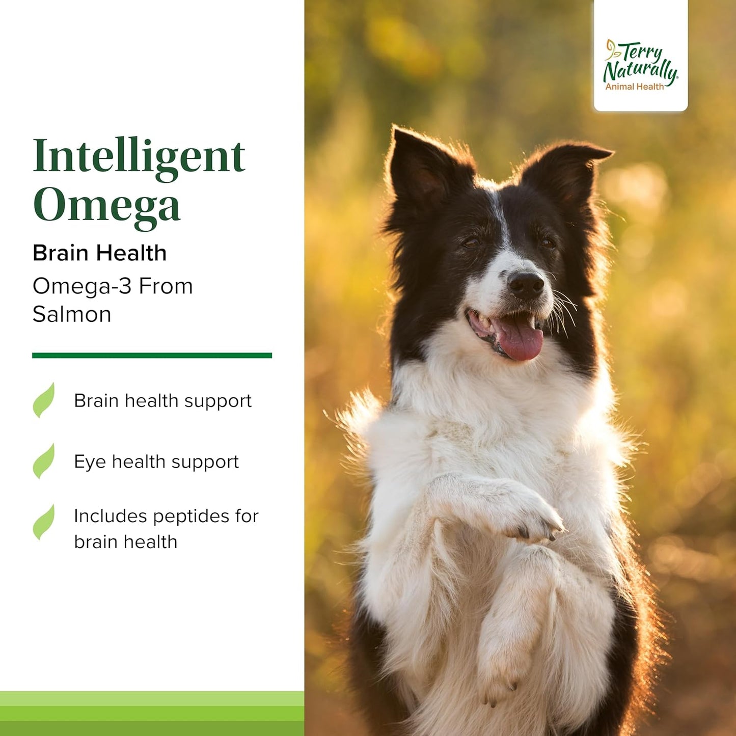 Salmon Omega-3 Soft Chews for Dogs - Promotes Brain & Eye Health - 60 Servings