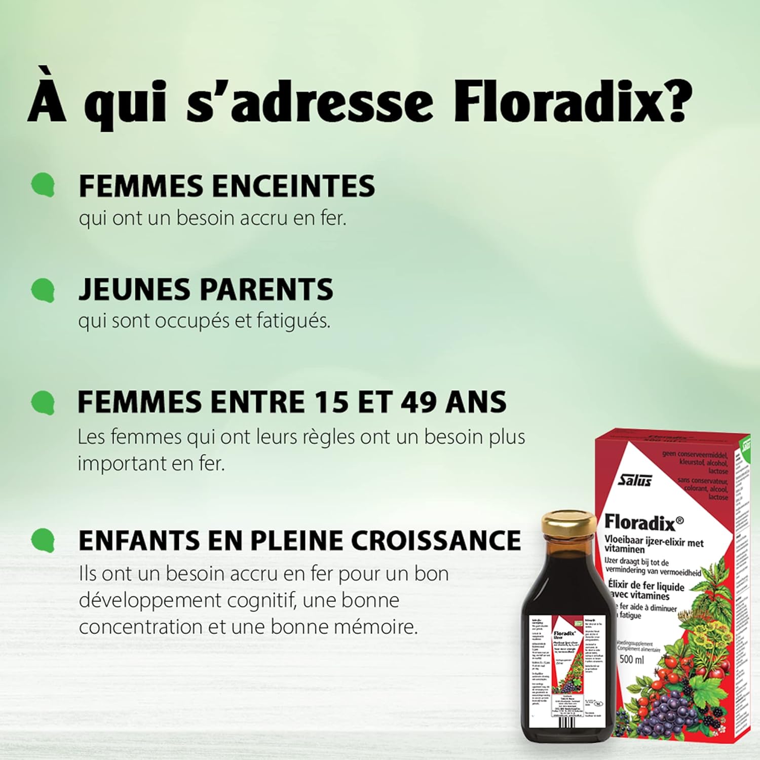 Salus Floradix Liquid Iron and Vitamin Supplement - 250ml Bottle