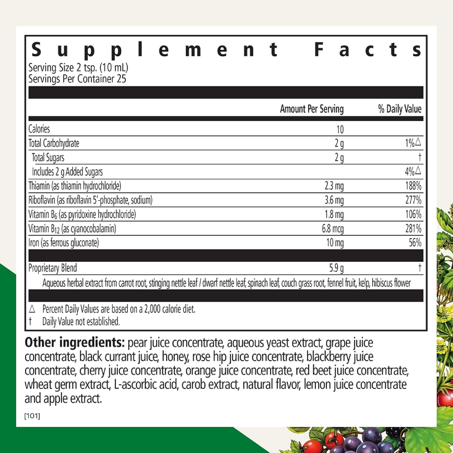 Salus Floradix Liquid Iron & Herbs Supplement for Energy - Vitamin C & B Complex - 8.5 oz Bottle for Men & Women
