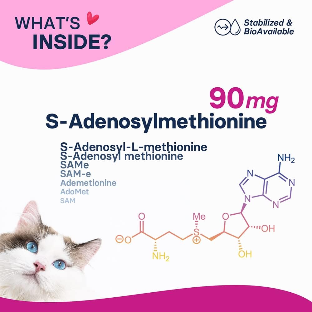 SAM-e Supplement for Small Dogs and Cats - Promotes Liver and Brain Health, 60 Coated Tablets with S-adenosylmethionine
